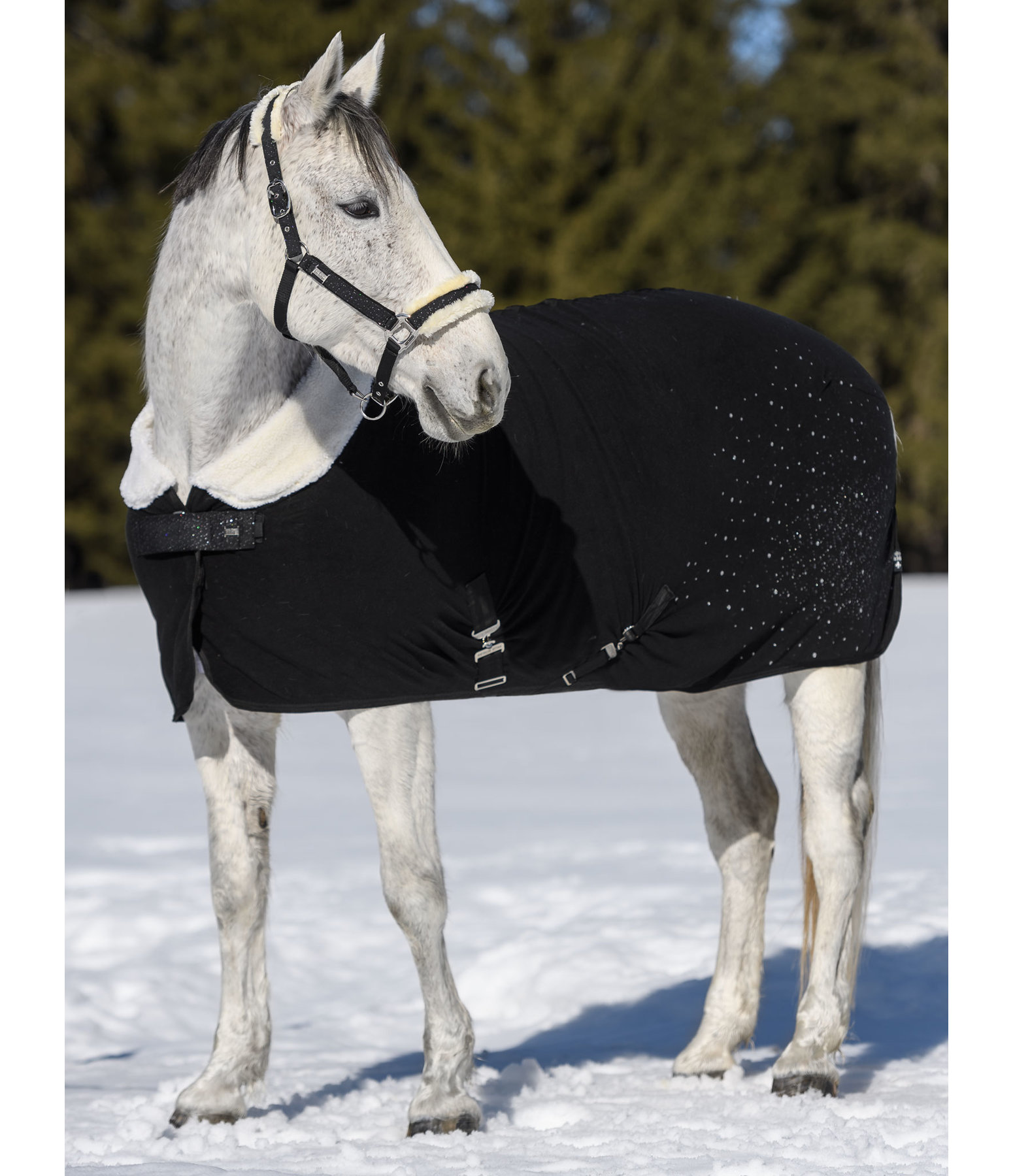 Functional Fleece Wicking Rug Sparkling II