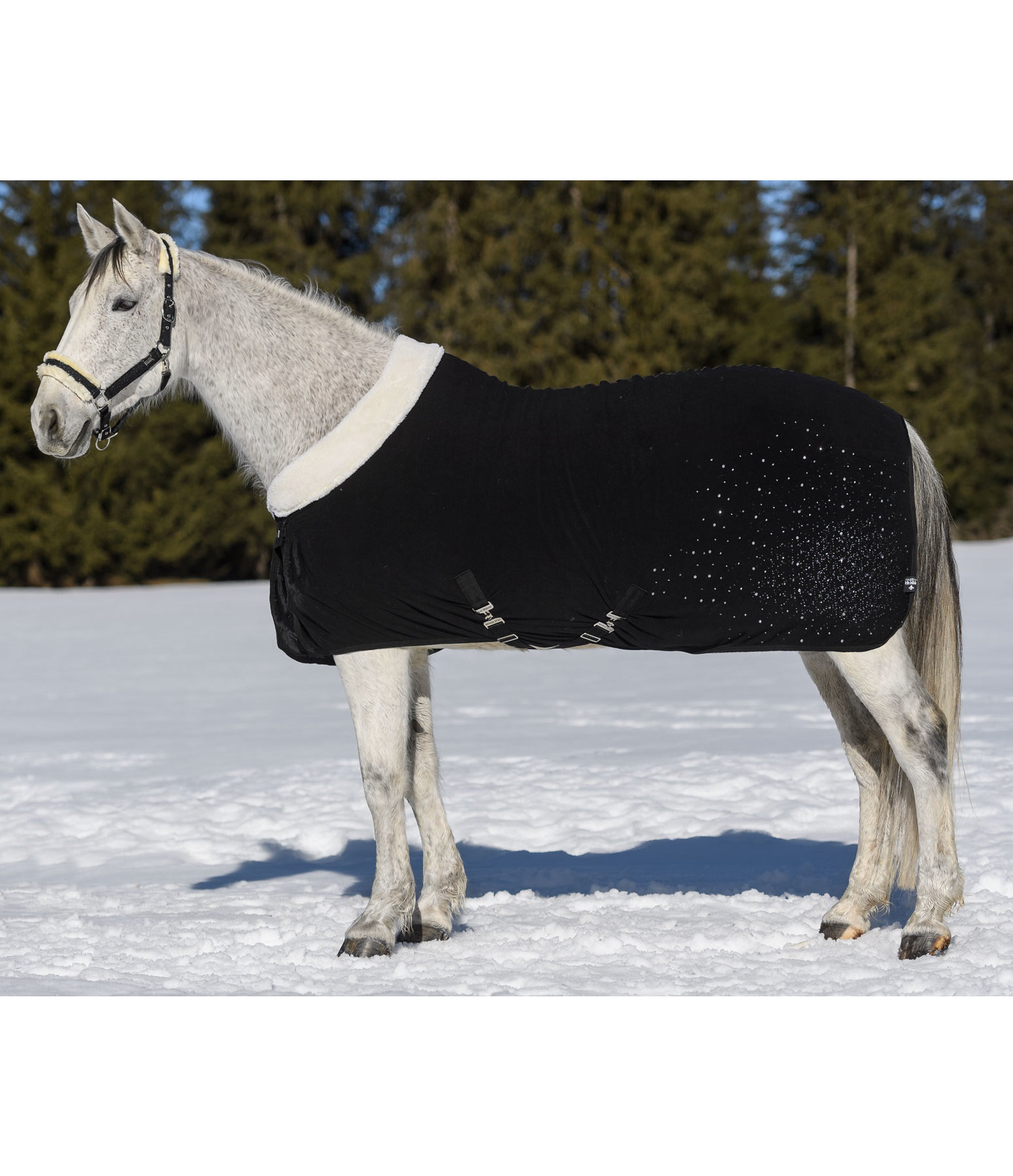 Functional Fleece Wicking Rug Sparkling II