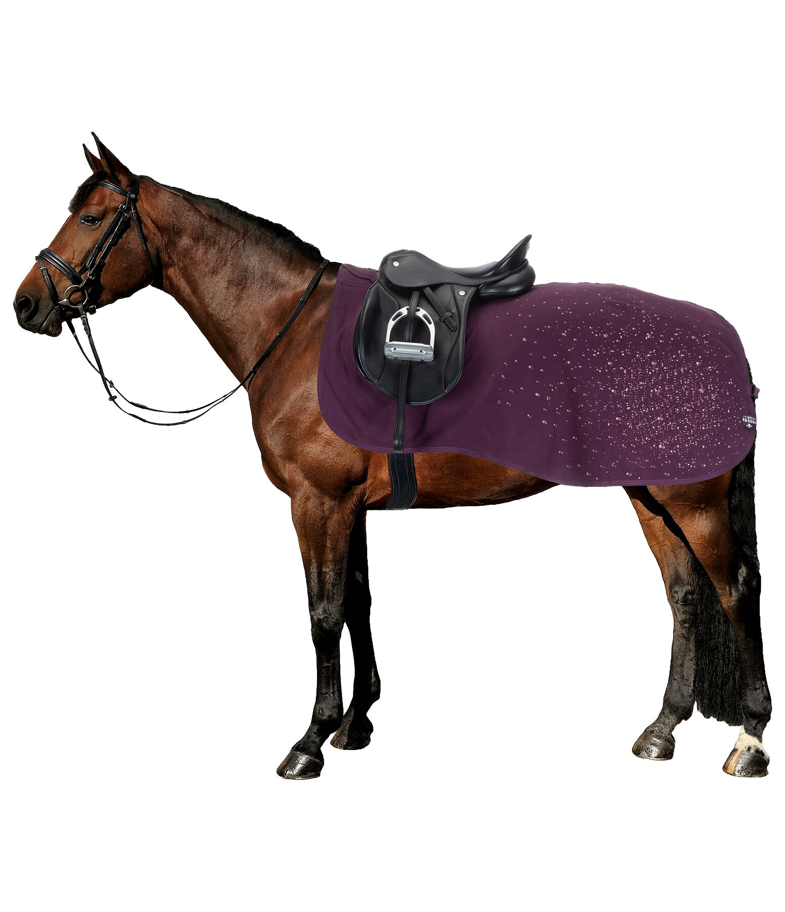 Functional Fleece Exercise Rug Sparkling II