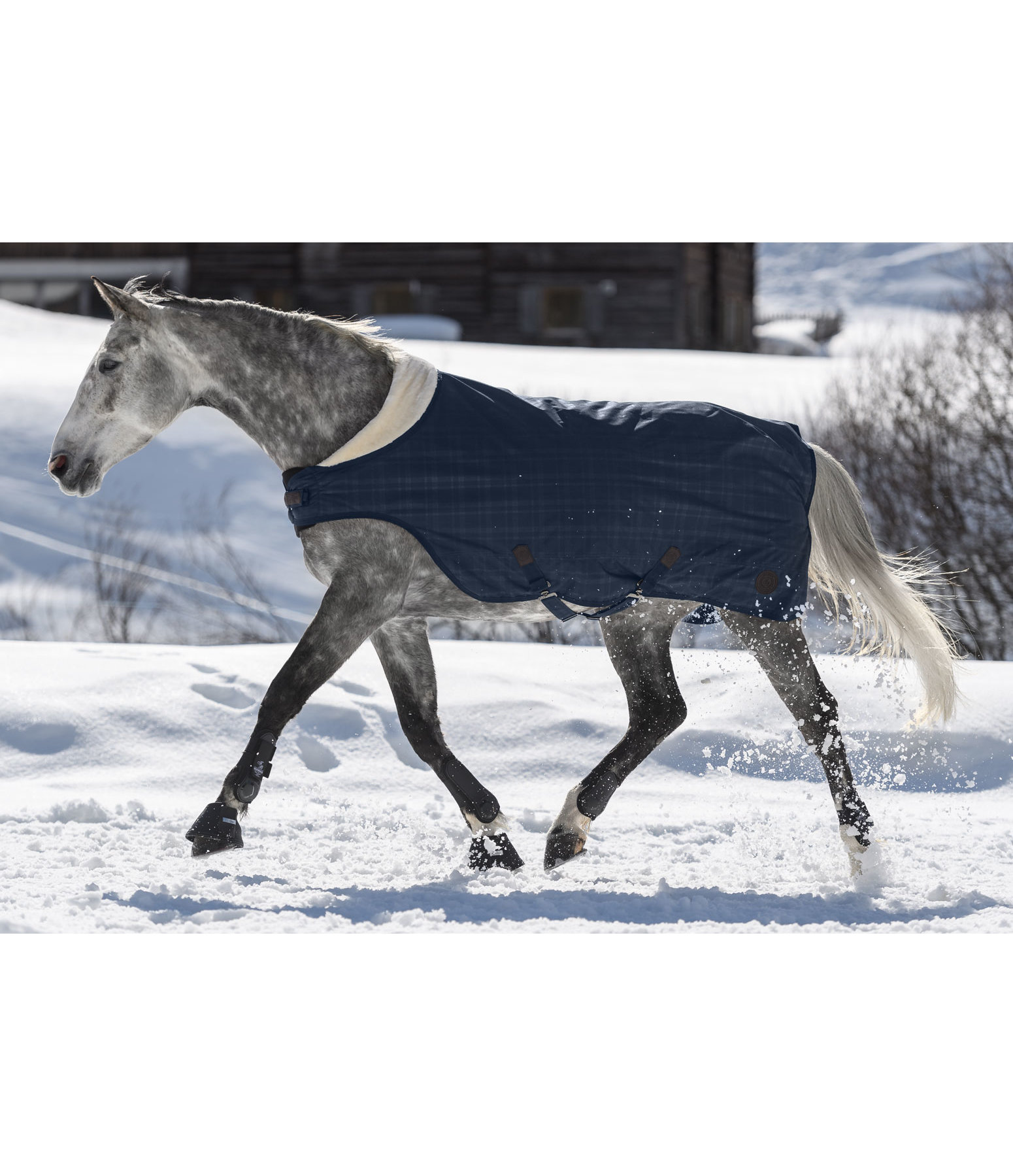 Outdoor Walker Rug Timeless Elegance, 100g