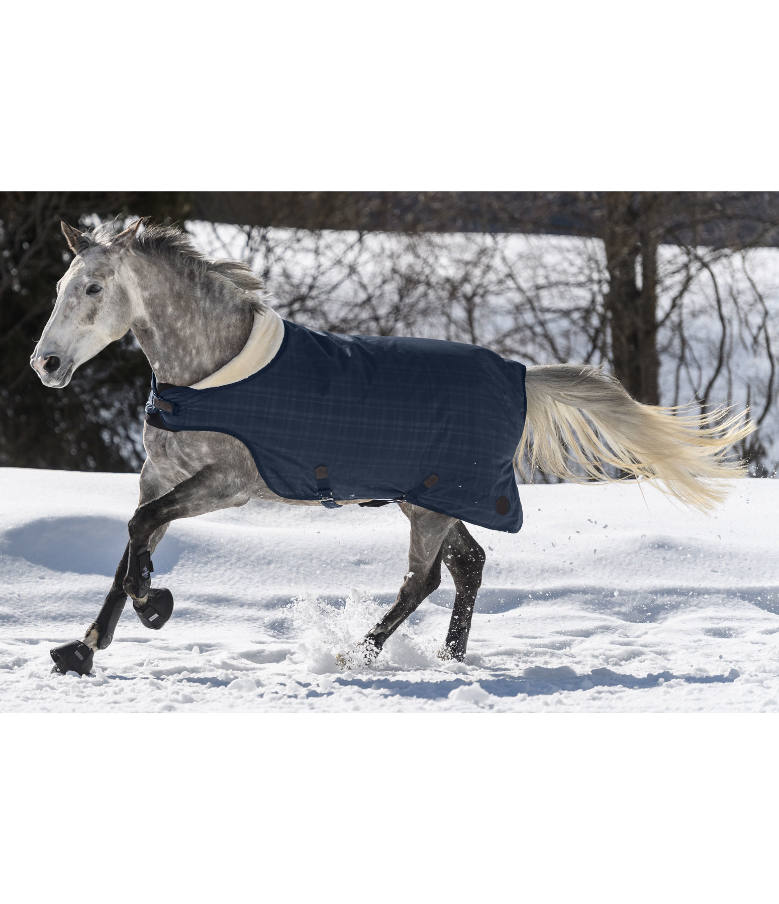 Outdoor Walker Rug Timeless Elegance, 100g