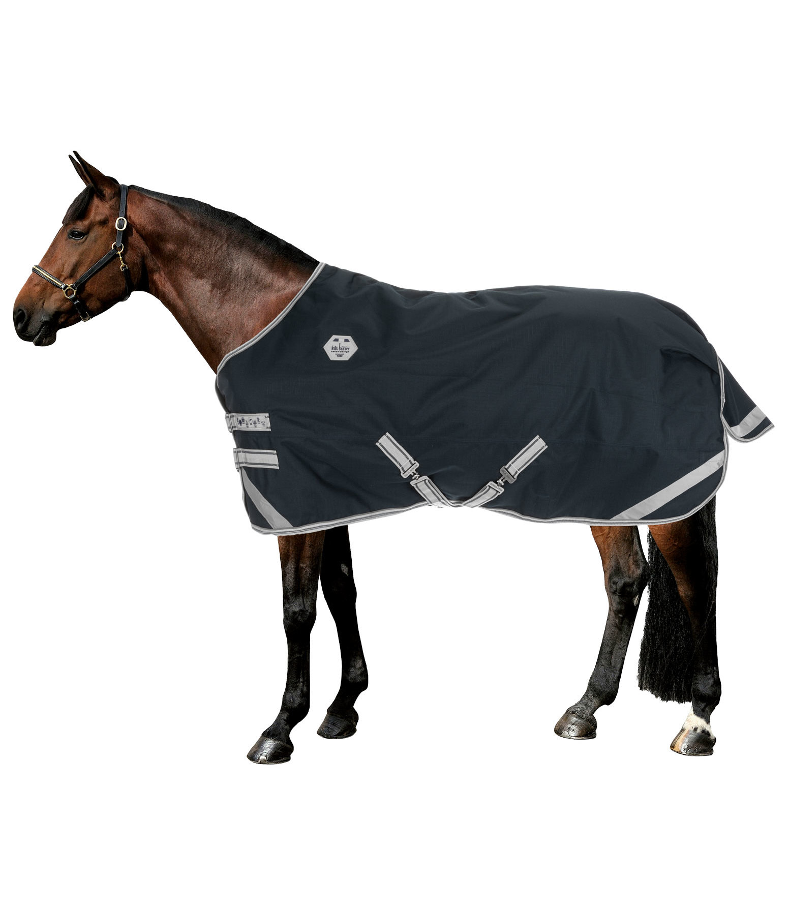 Regular Neck Turnout Rug Paddock Reflective, 200g Kramer Equestrian