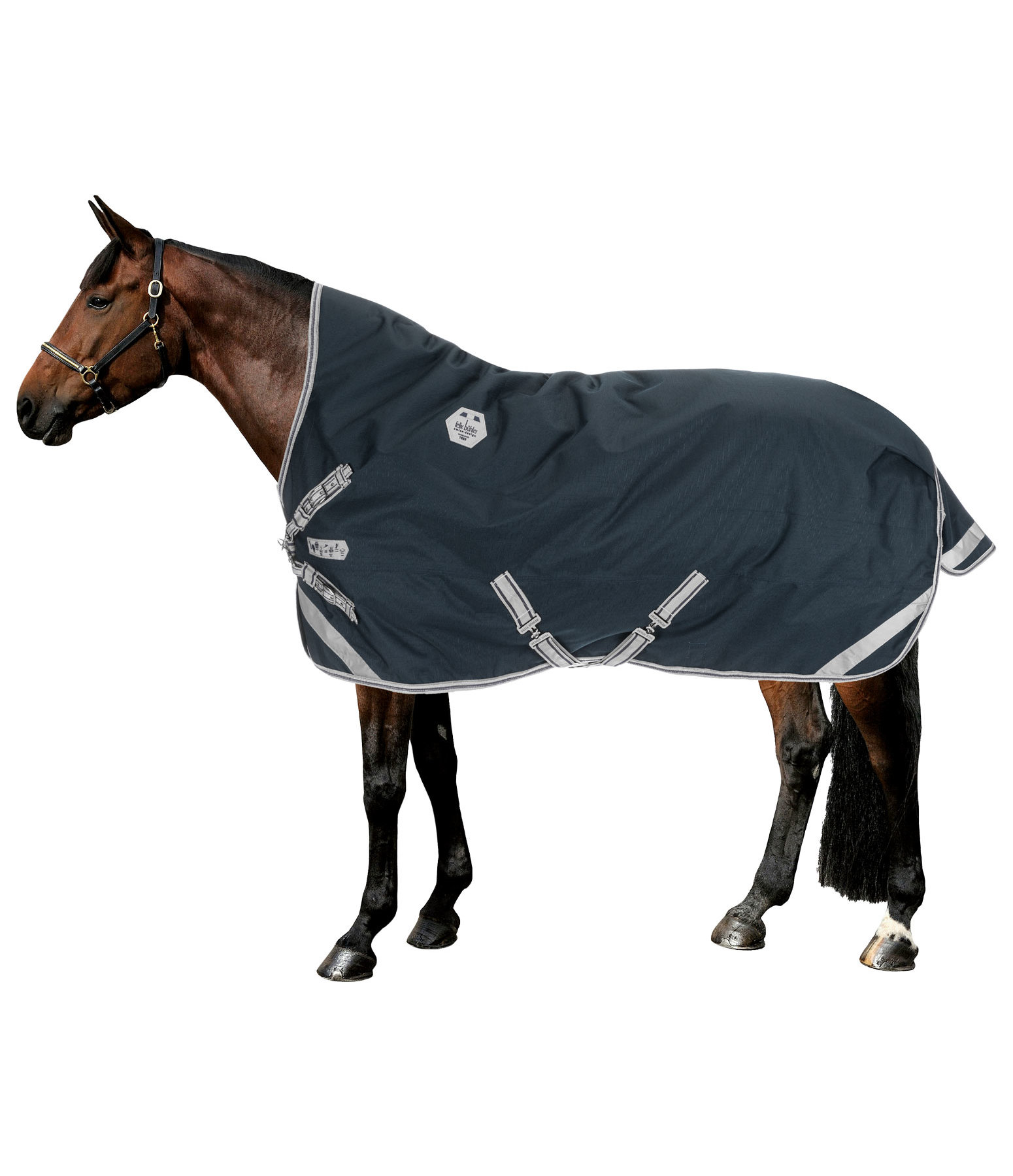 High Neck Turnout Rug Paddock Reflective, 100g