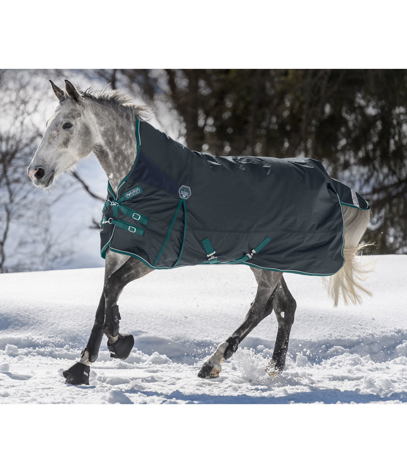 High Neck Turnout Rug Perfect Fit, 100g Kramer Equestrian