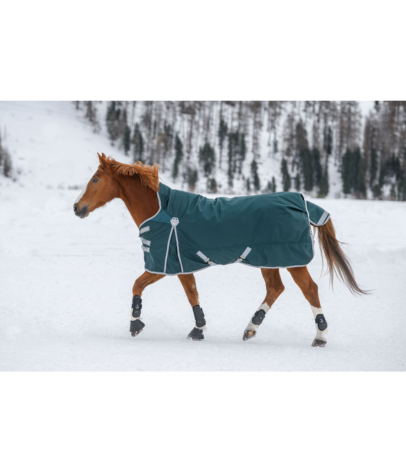 High Neck Turnout Rug Perfect Fit, 200g