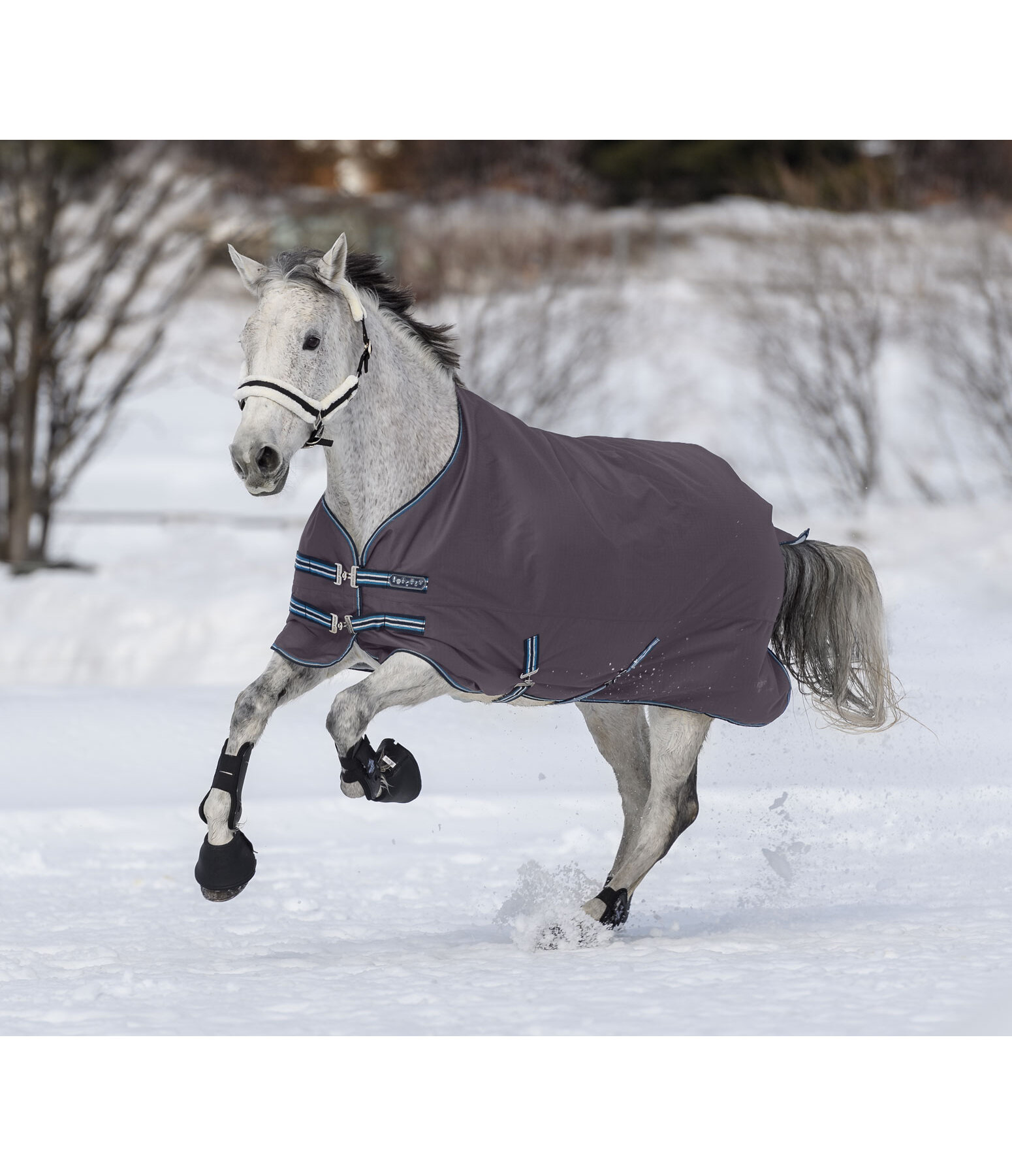 4 in 1 Regular Neck Turnout Rug with multi-layer system, 0-300g