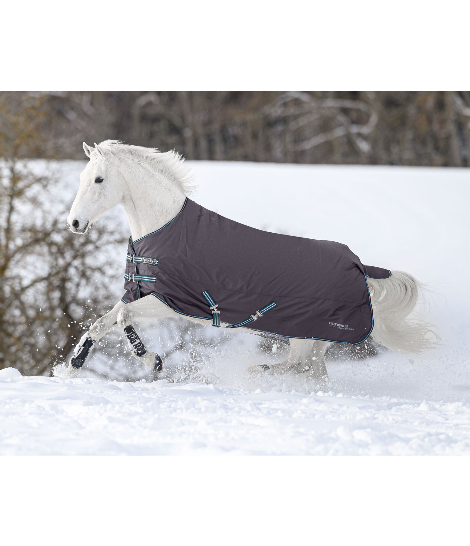 4 in 1 Regular Neck Turnout Rug with multi-layer system, 0-300g