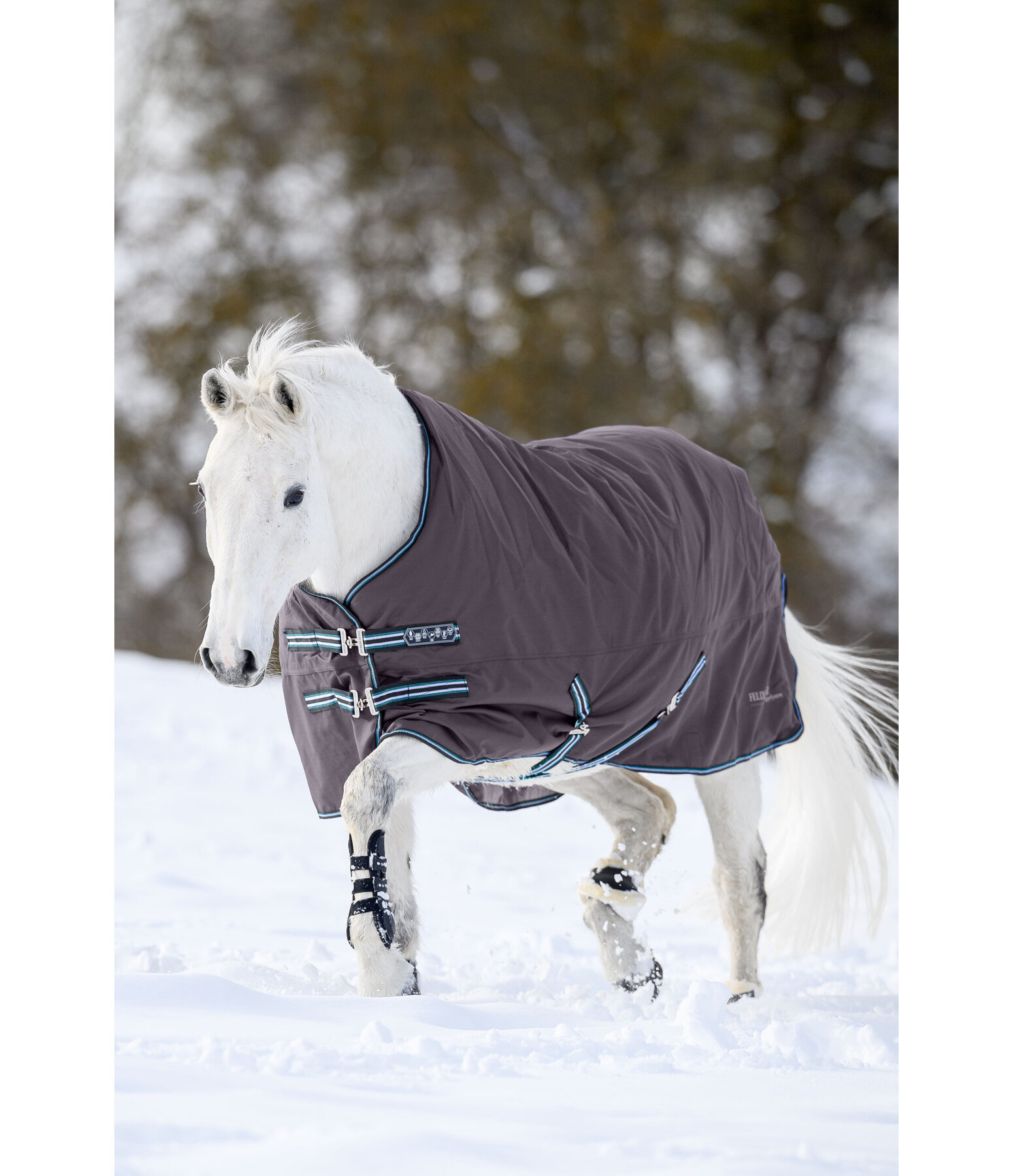 4 in 1 Regular Neck Turnout Rug with multi-layer system, 0-300g