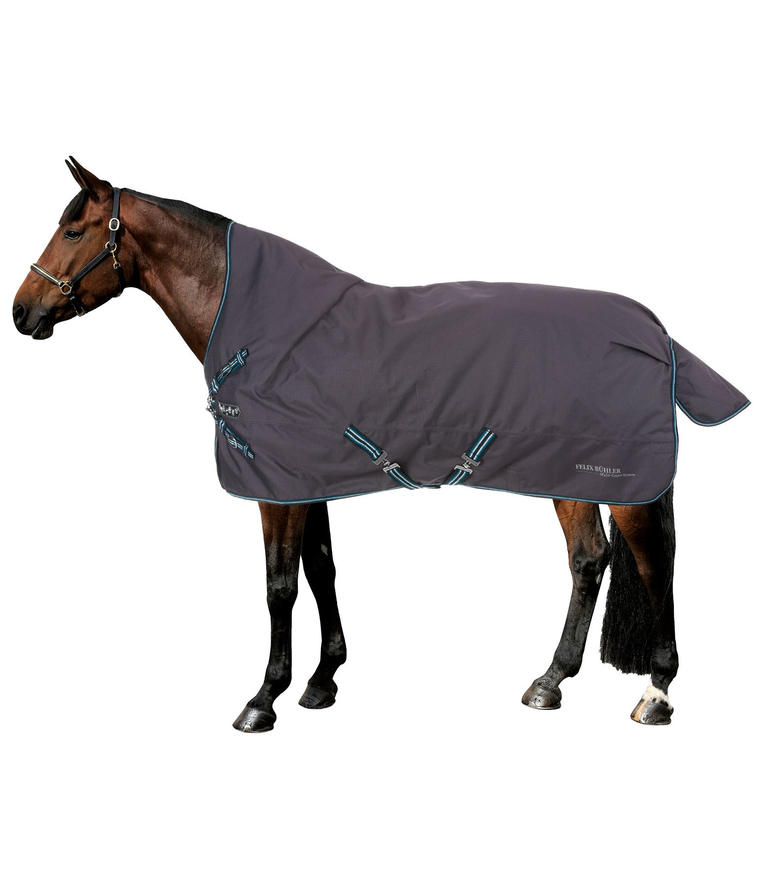 4 in 1 Highneck Turnout Rug with multi-layer system, 0-300g