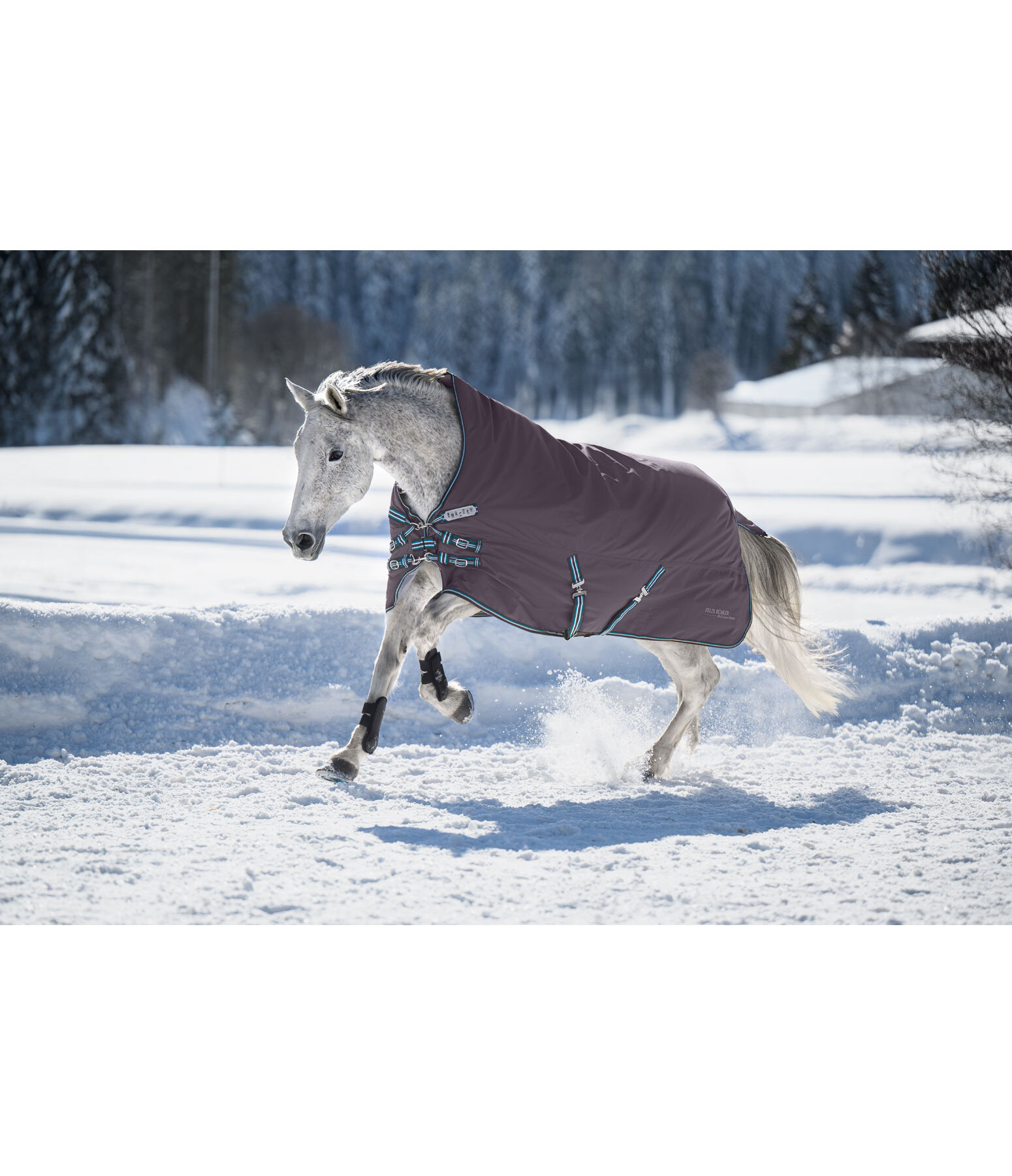 4 in 1 Highneck Turnout Rug with multi-layer system, 0-300g