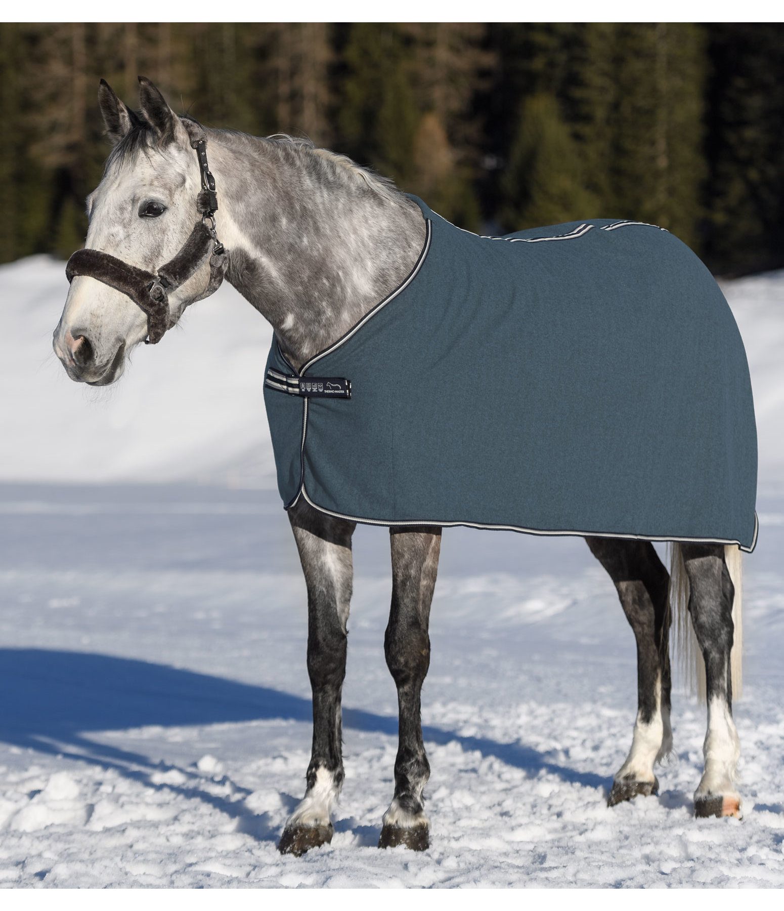 Fleece Wicking Rug Felty II Coolers Kramer Equestrian