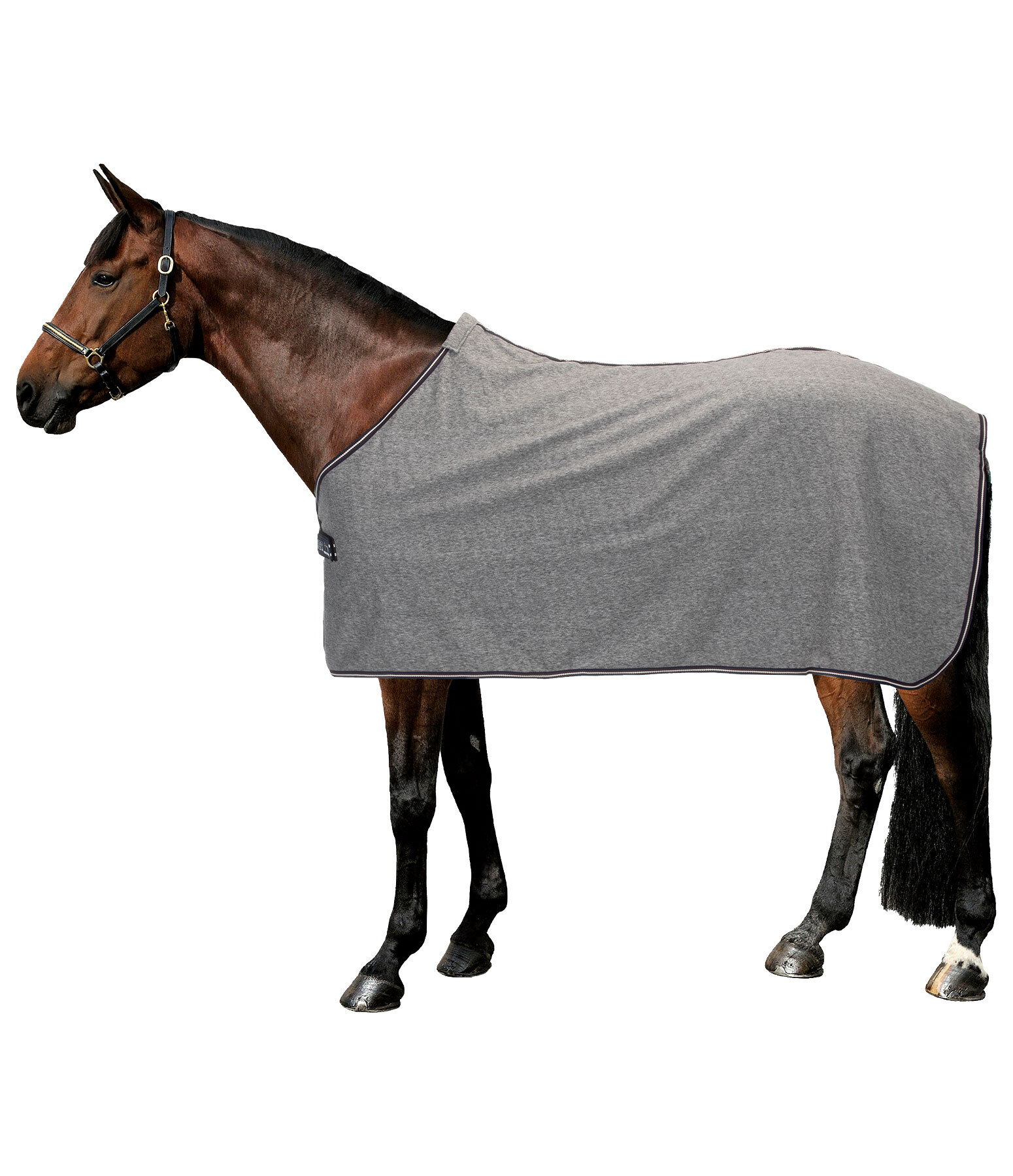 Fleece  Wicking Rug Felty II