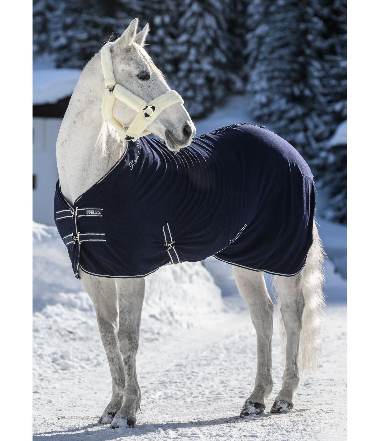 Functional Wicking Rug Terry Towel II