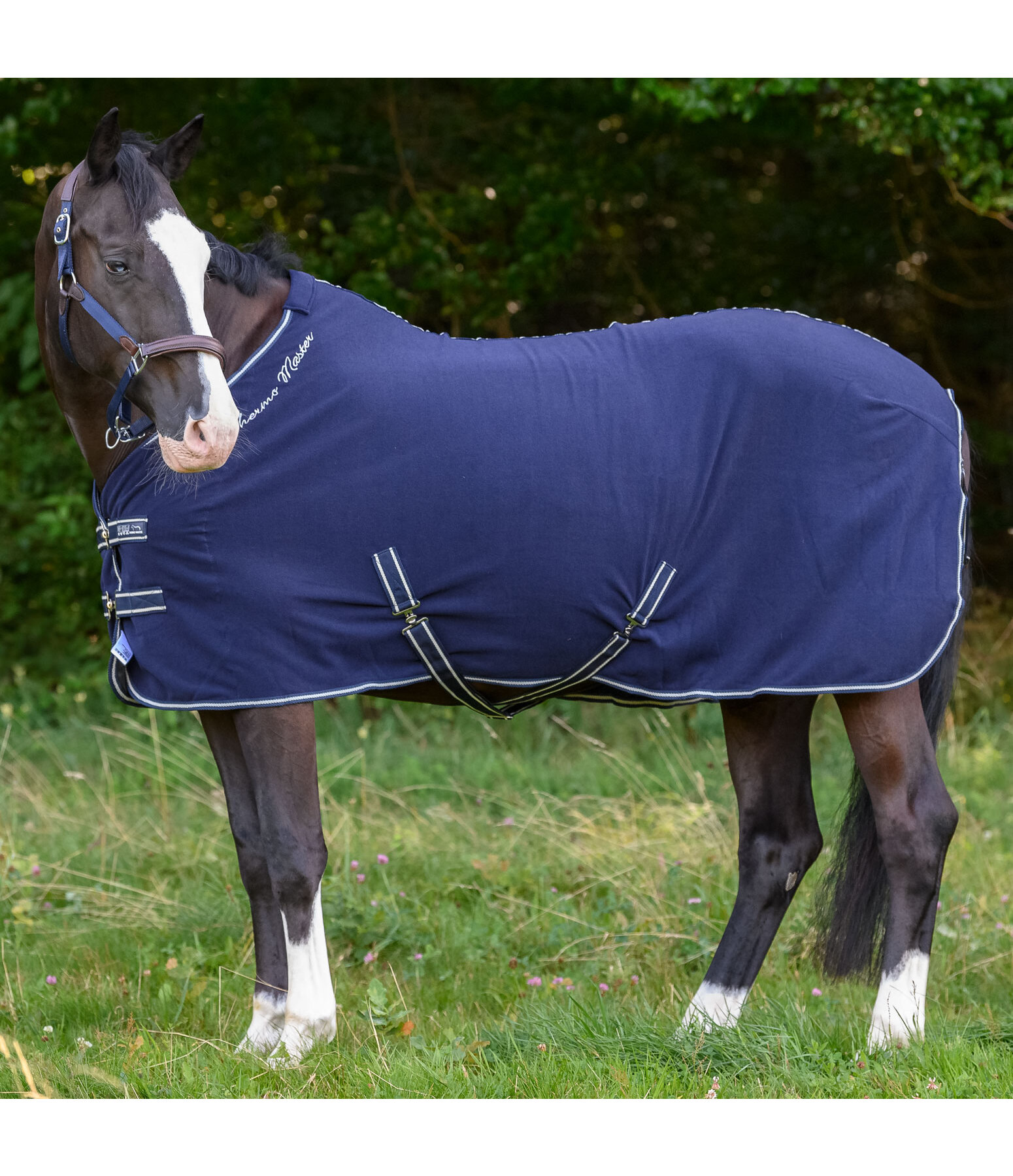 Functional Wicking Rug Terry Towel II