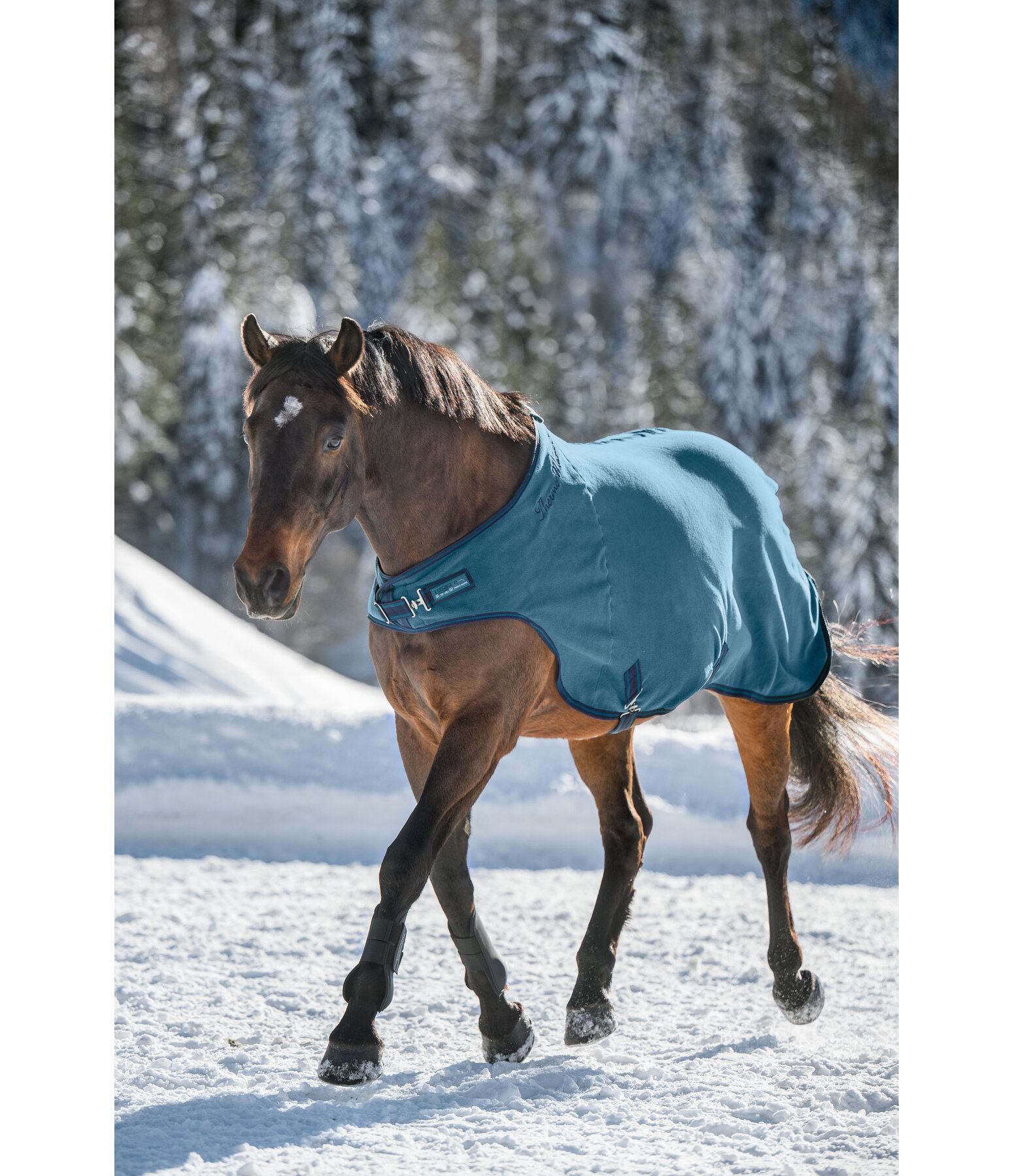Fleece Walker Rug Activity