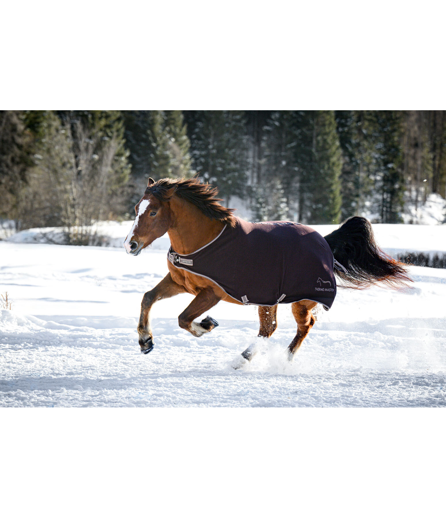 Fleece Walker Rug Activity