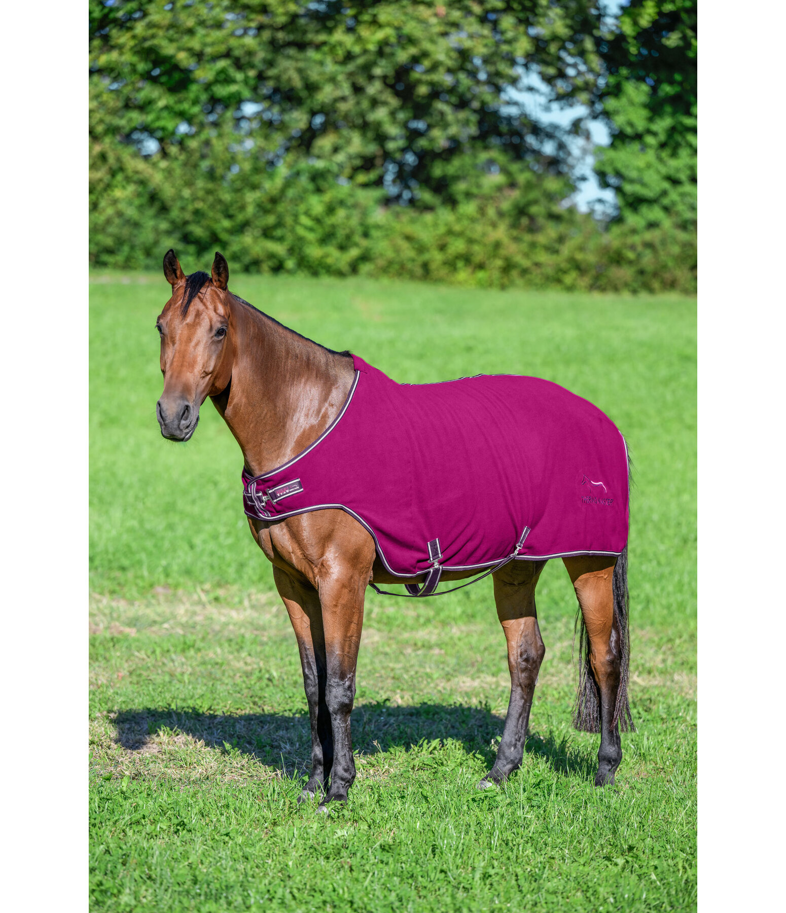 Fleece Walker Rug Activity