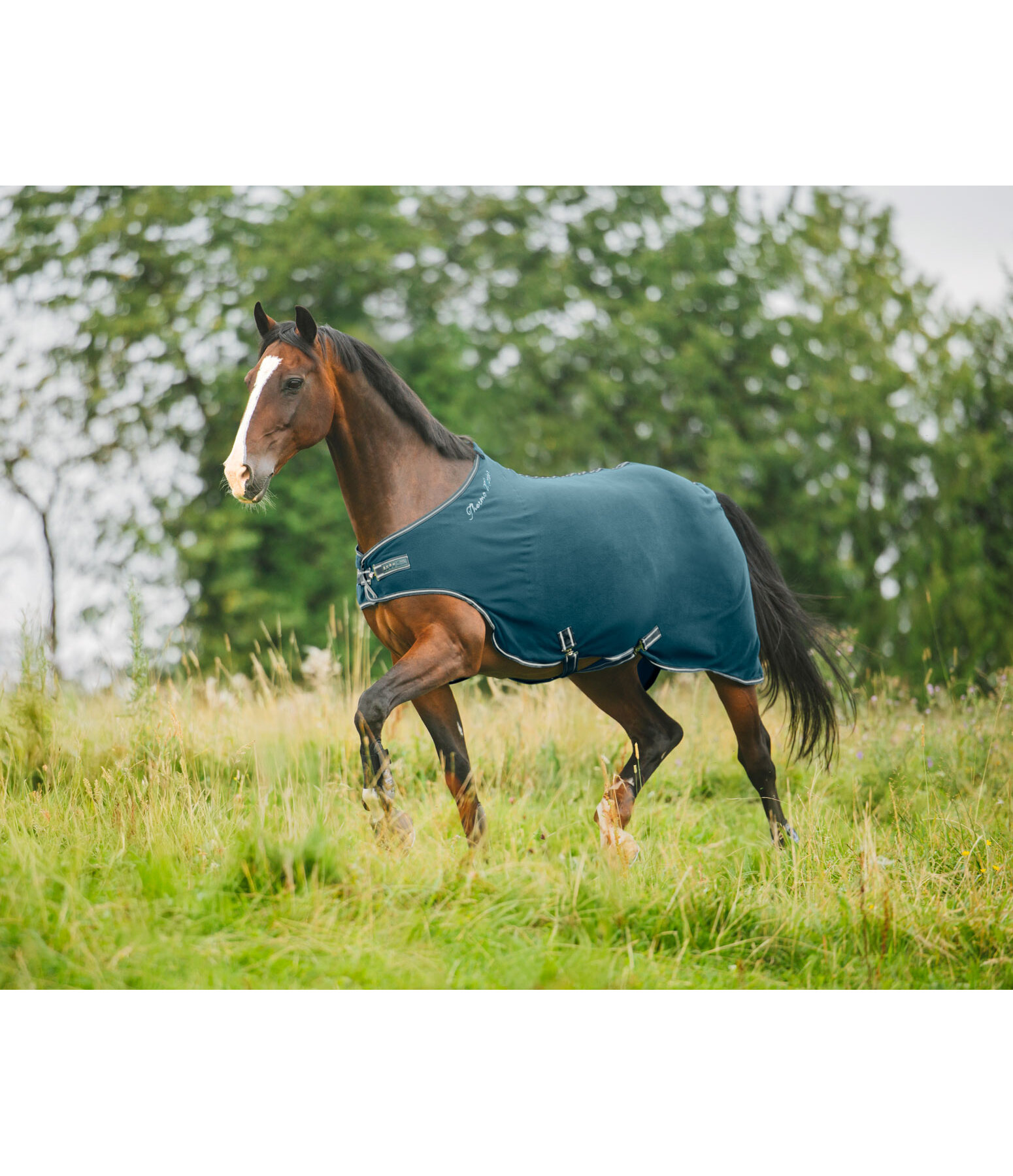 Fleece Walker Rug Activity