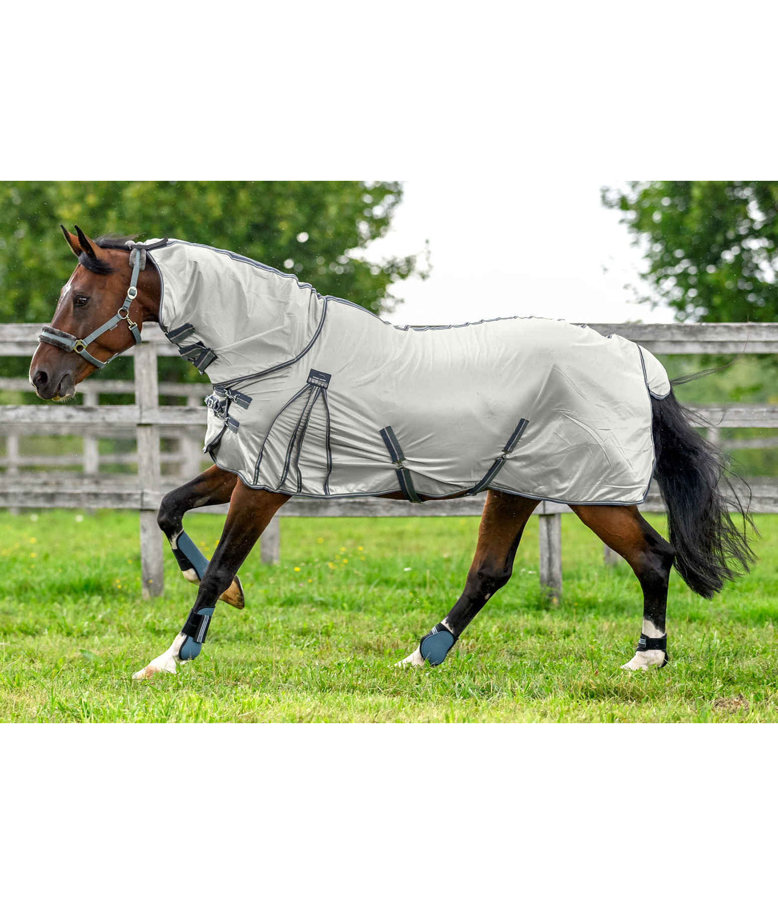Fly Rug Full Neck Protection III Kramer Equestrian