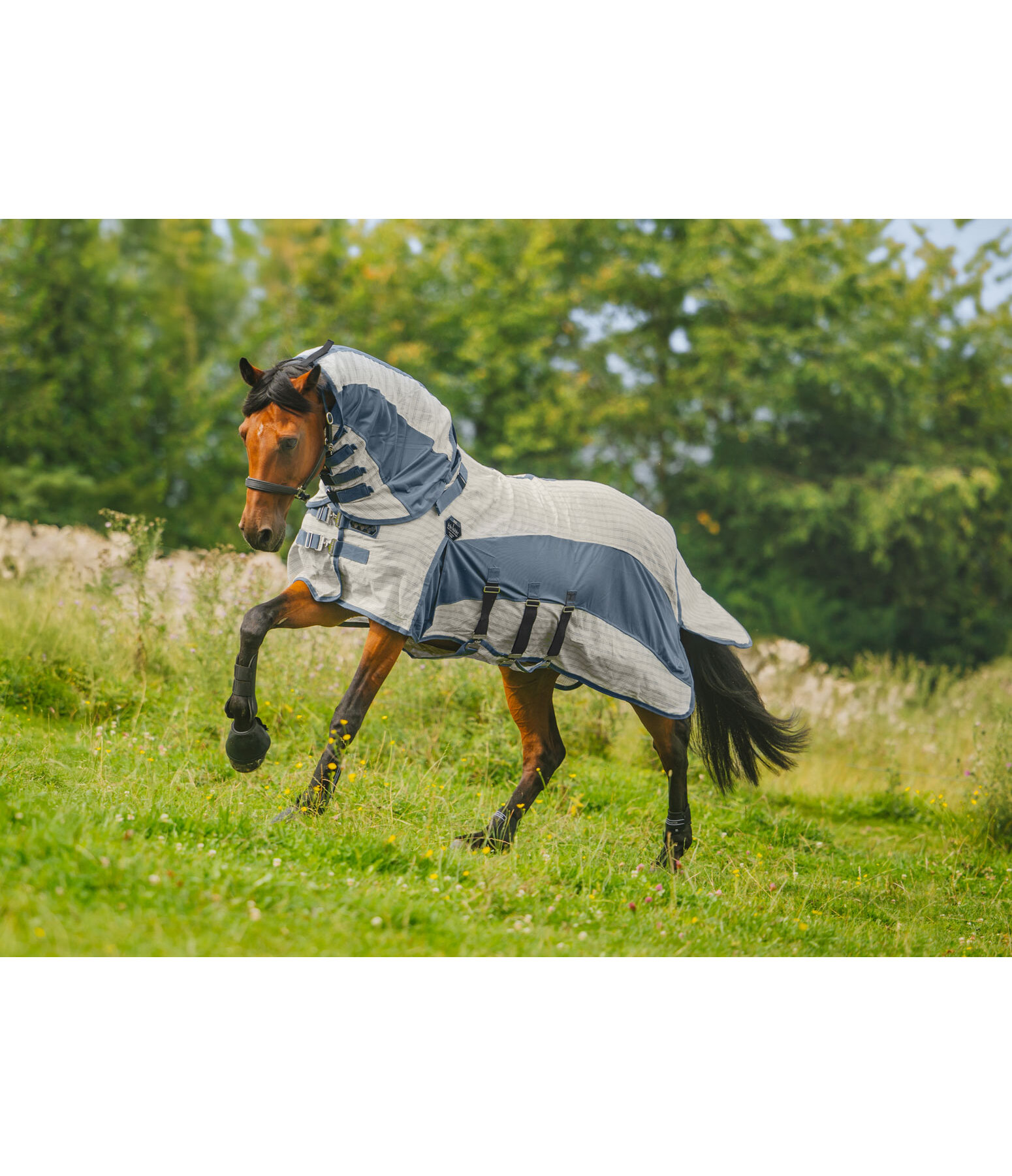 Full Neck Cotton Fly- and Sweet Itch Rug Fynbos