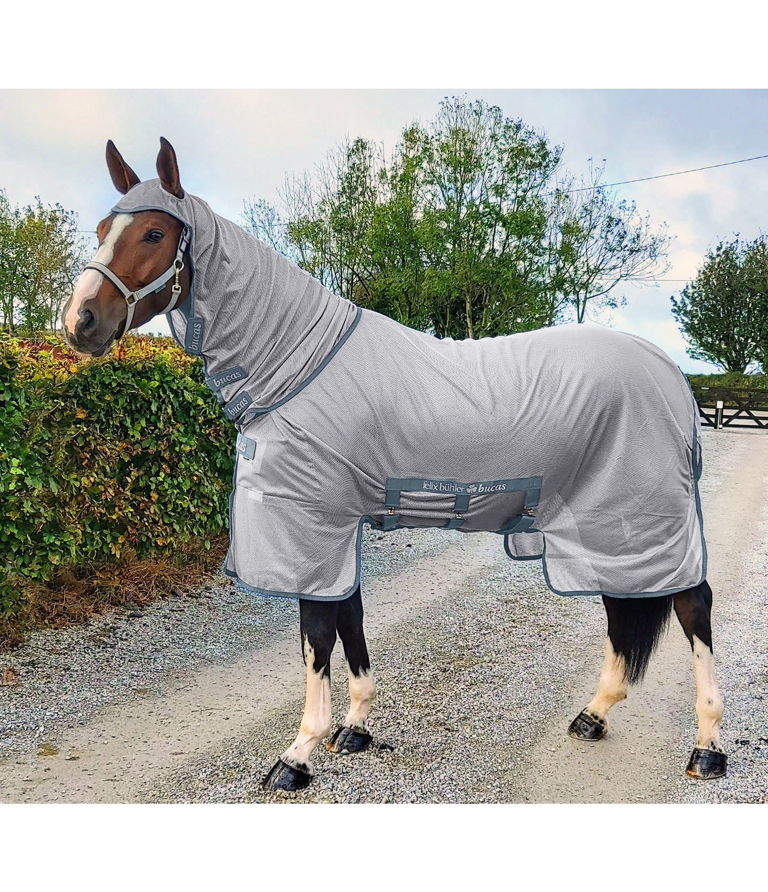 by Bucas Fly Rug Buzzoff X Turnout, UV 70+ Kramer Equestrian