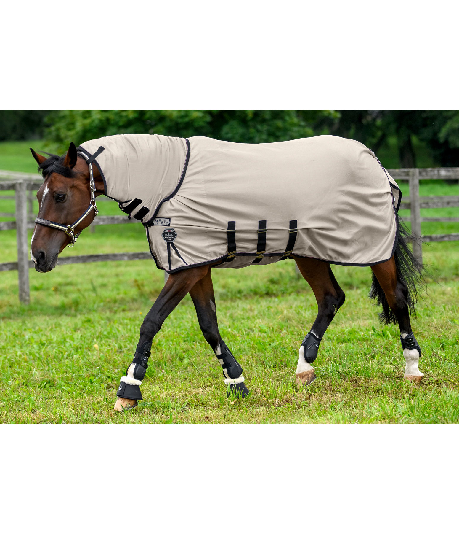Full Neck Fly Rug Wadi Fly Rugs Kramer Equestrian