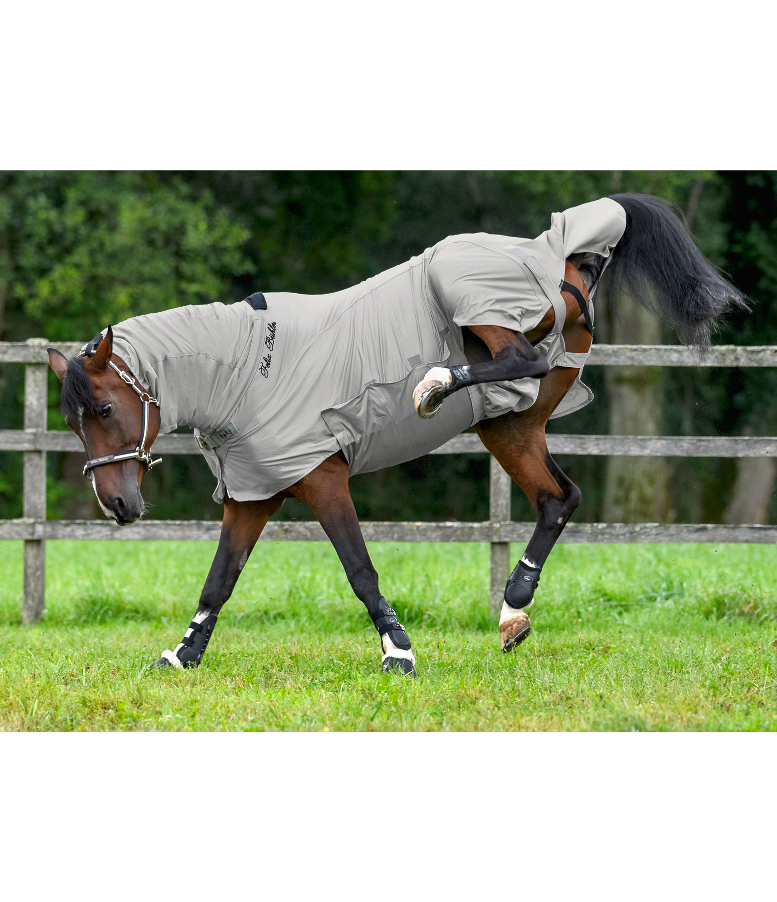 Mesh Combo Sweet Itch Rug Gibson Kramer Equestrian