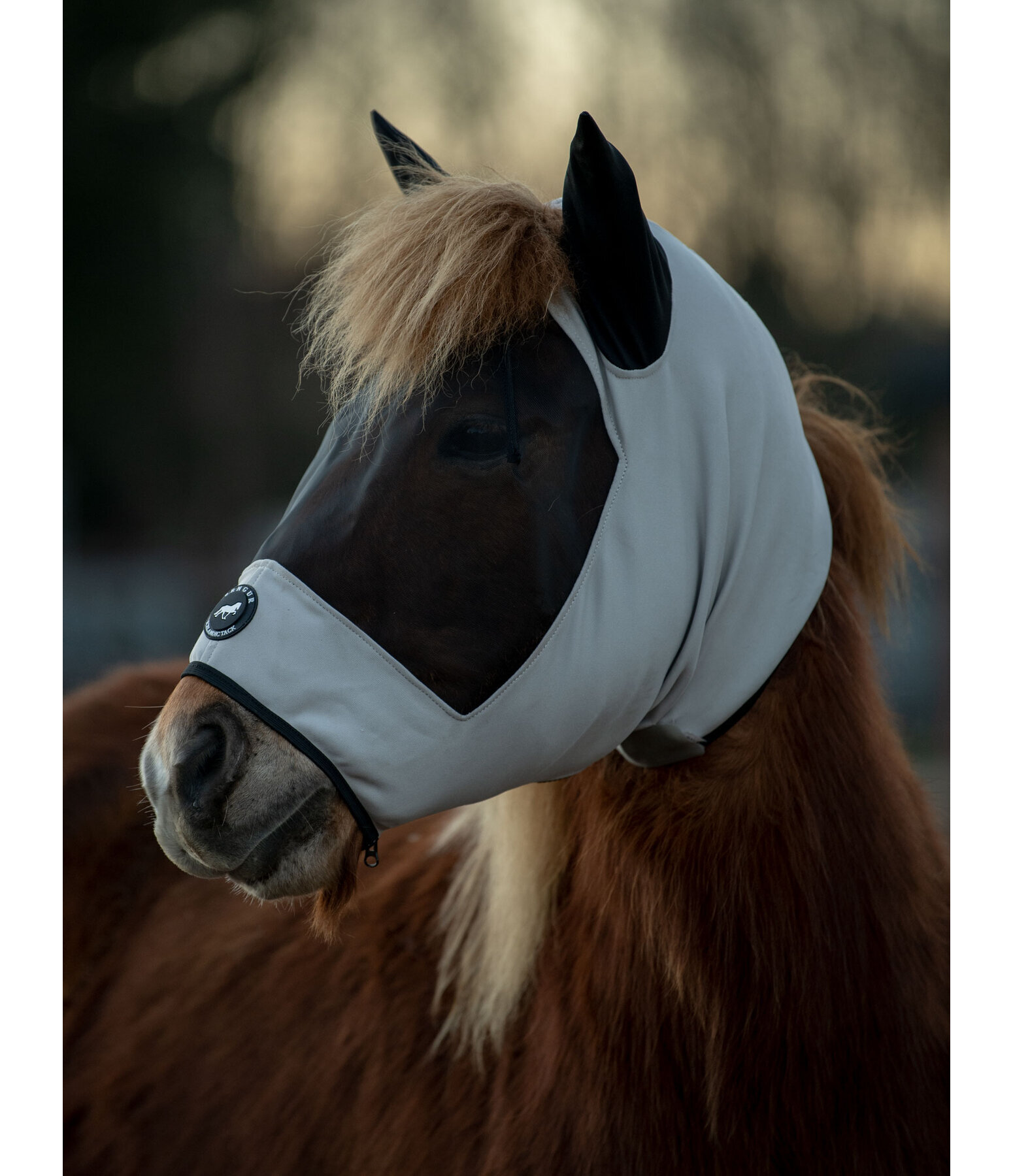 Icelandic Sweet Itch Mask