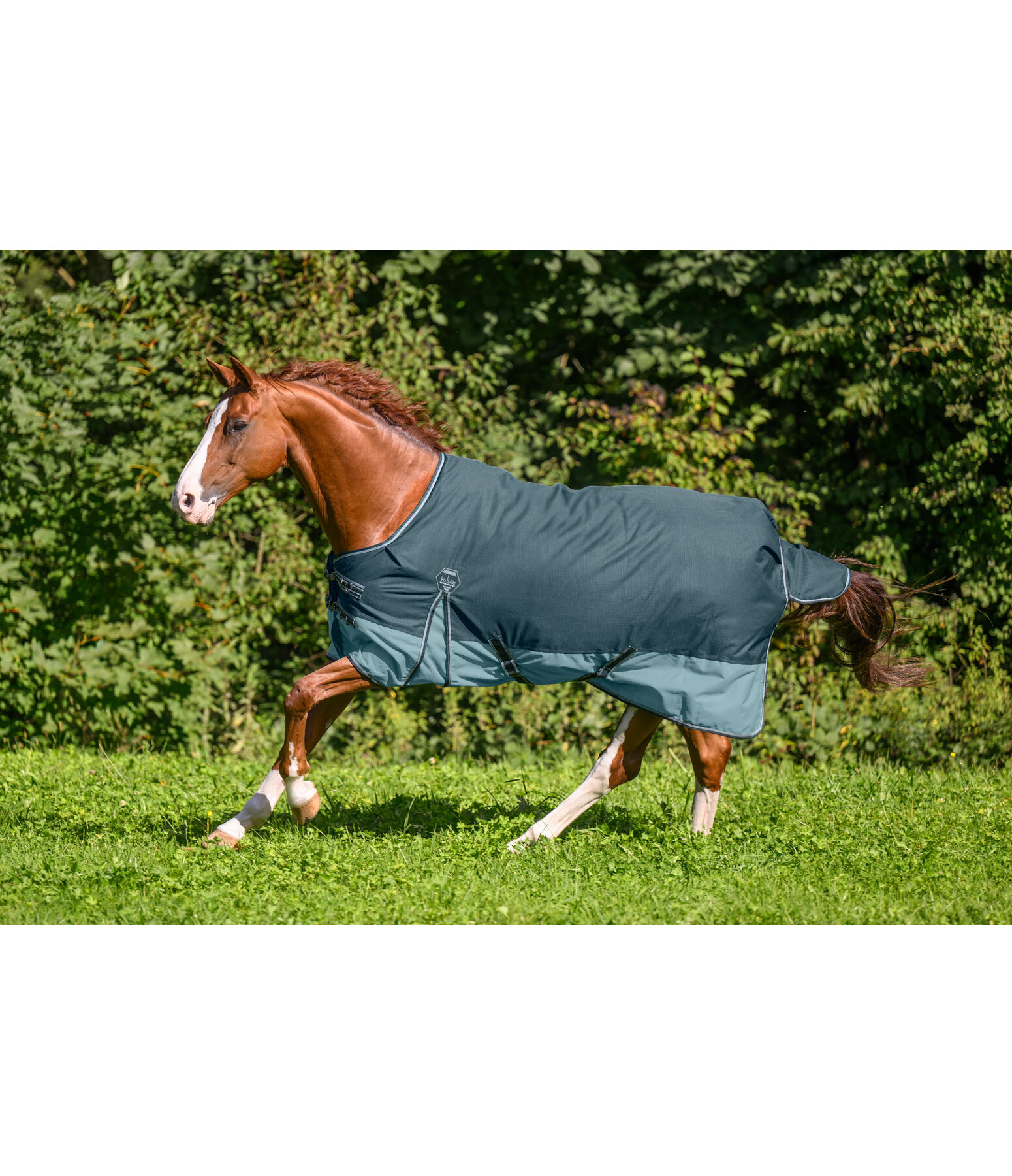 Turnout Rug Generously, 50g