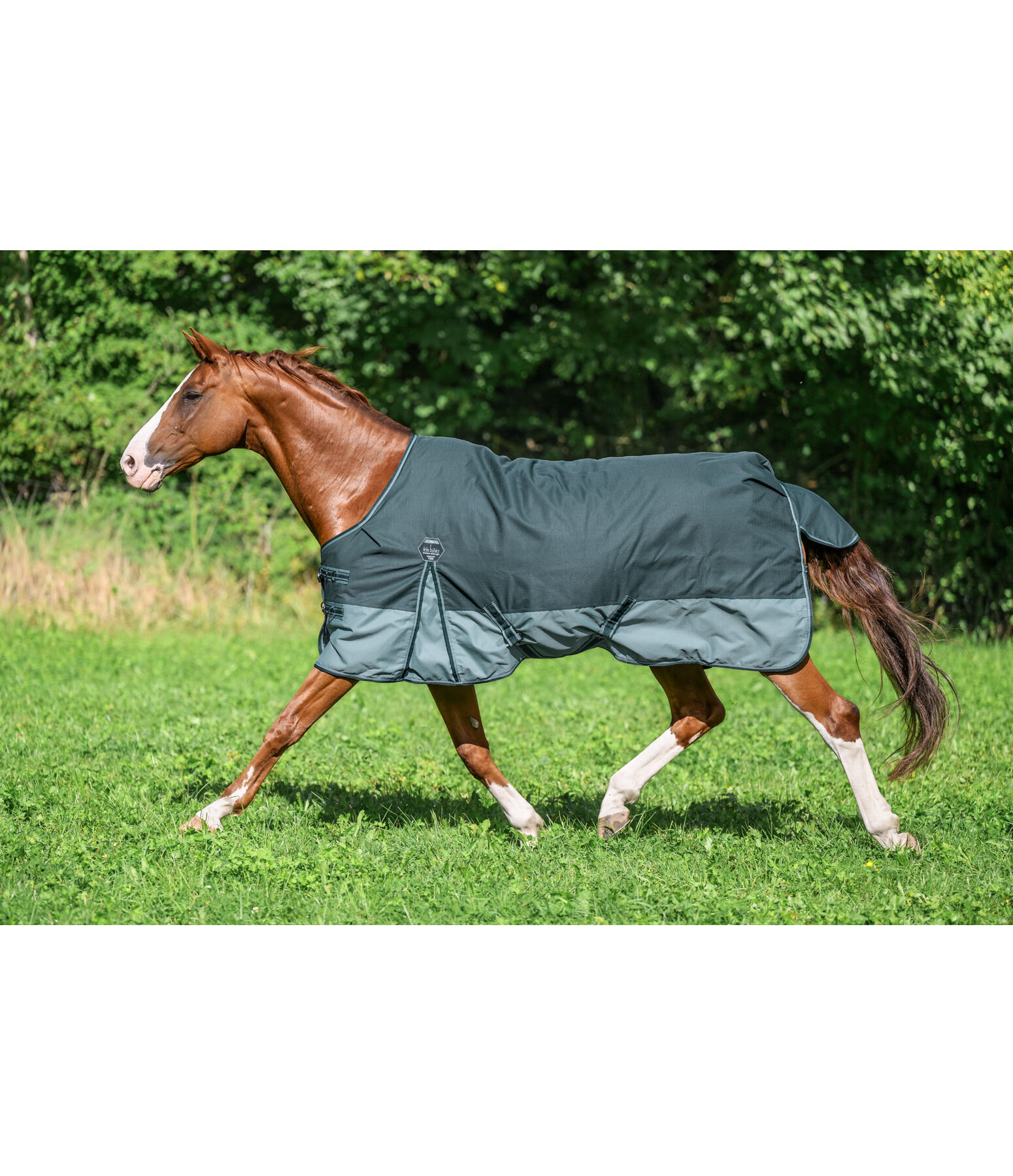 Turnout Rug Generously, 50g