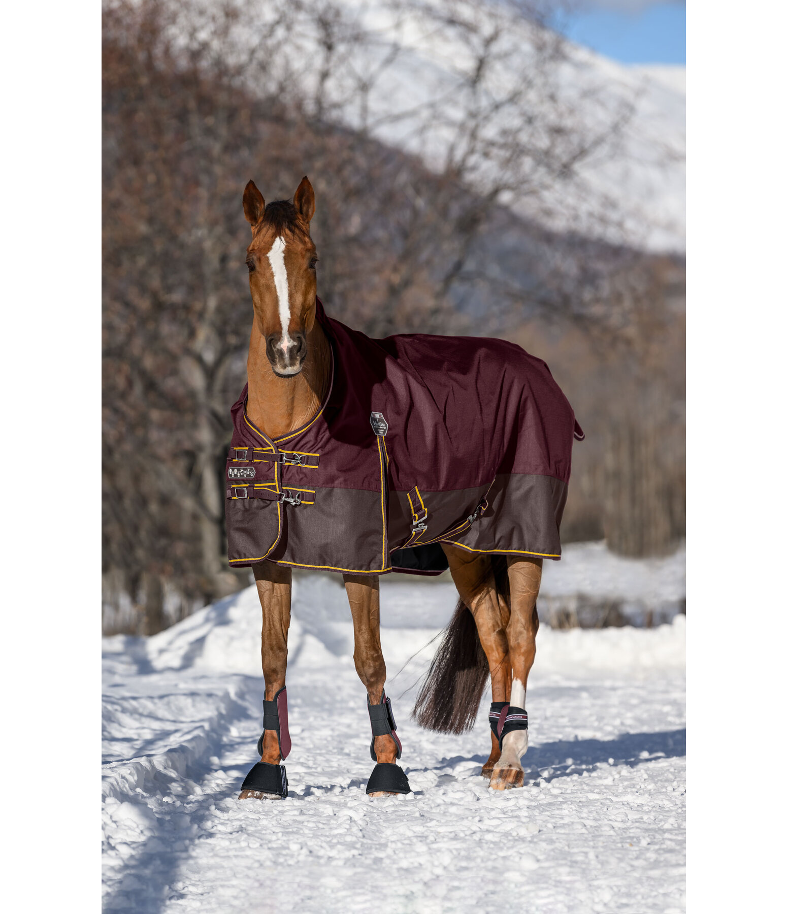 Turnout Rug Generously, 50g