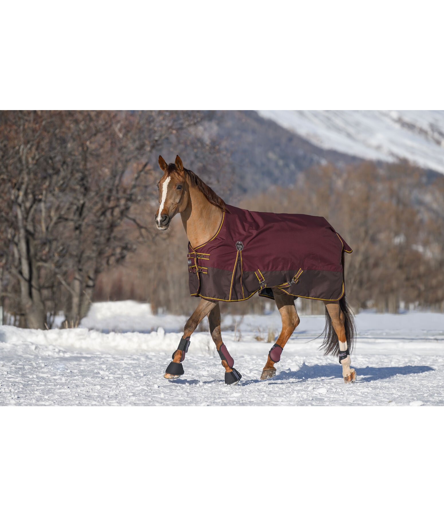 Turnout Rug Generously, 50g