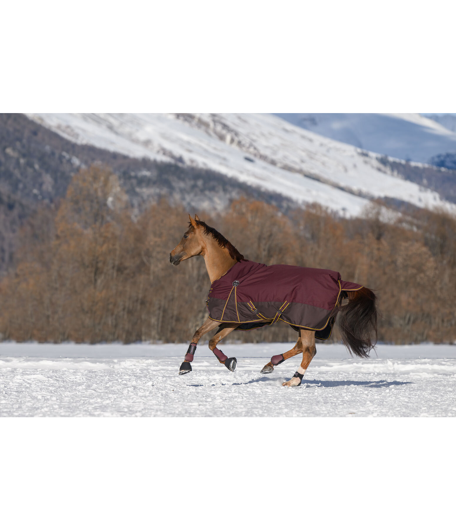 Turnout Rug Generously, 50g