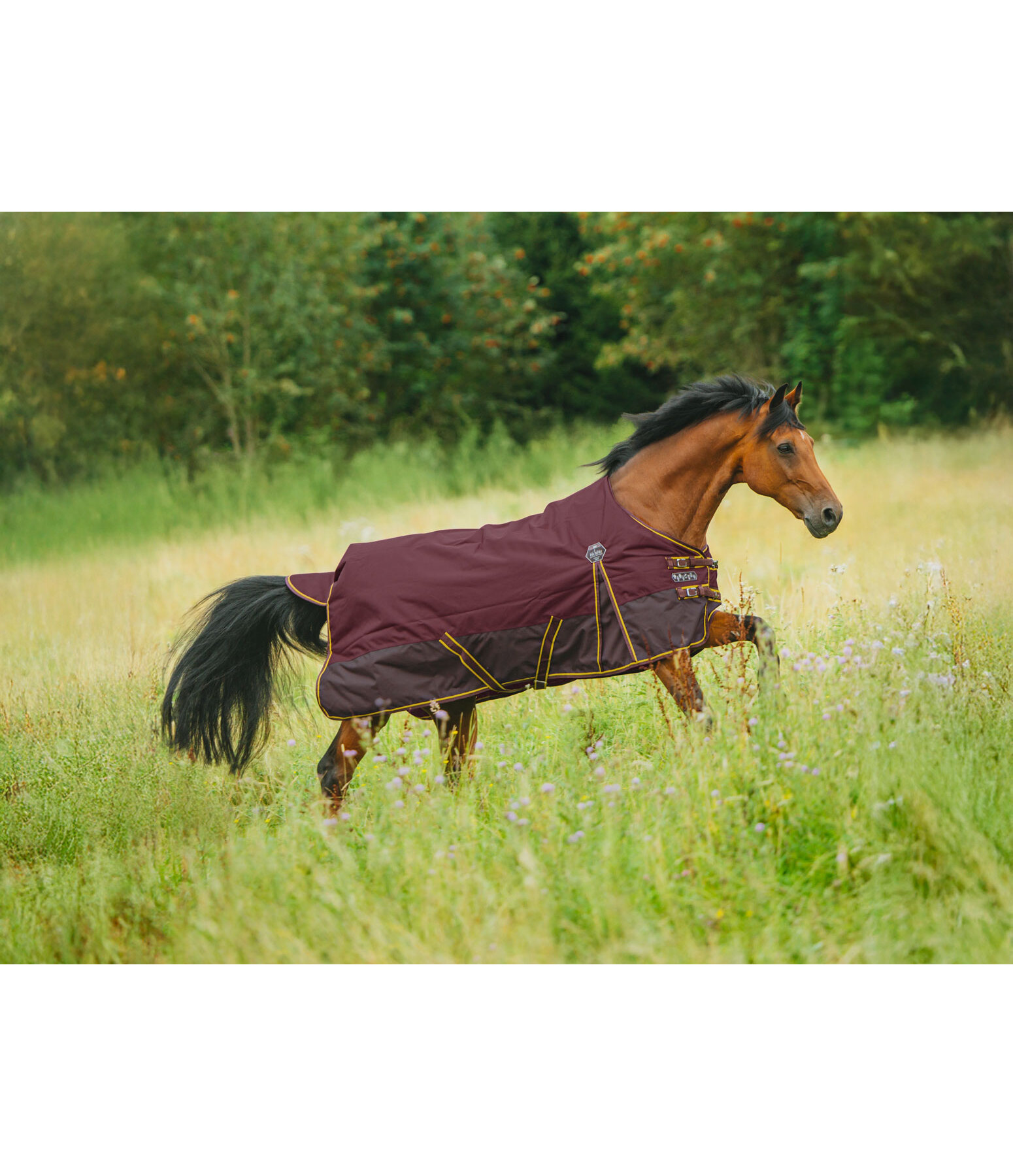 Turnout Rug Generously, 50g