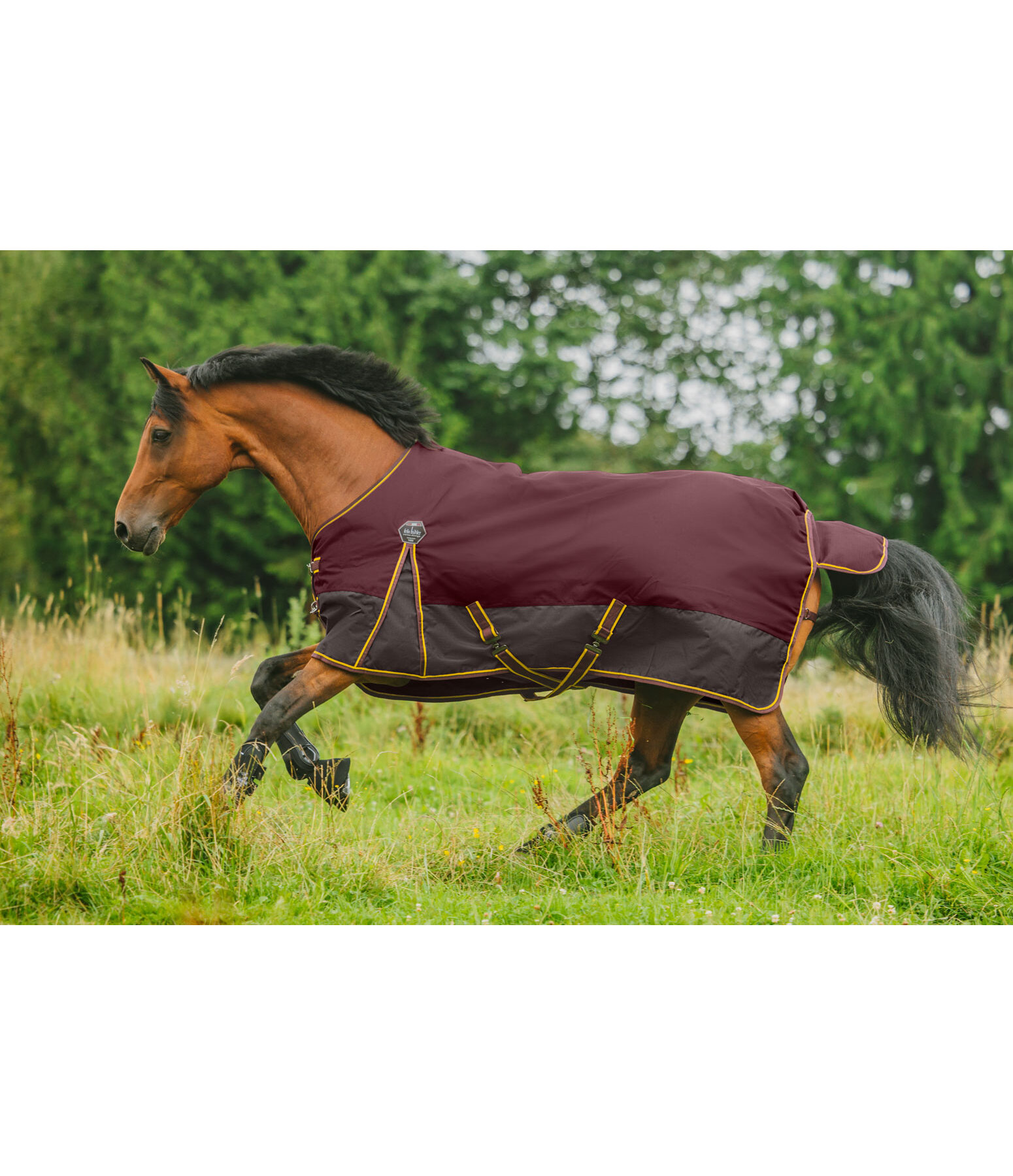 Turnout Rug Generously, 50g