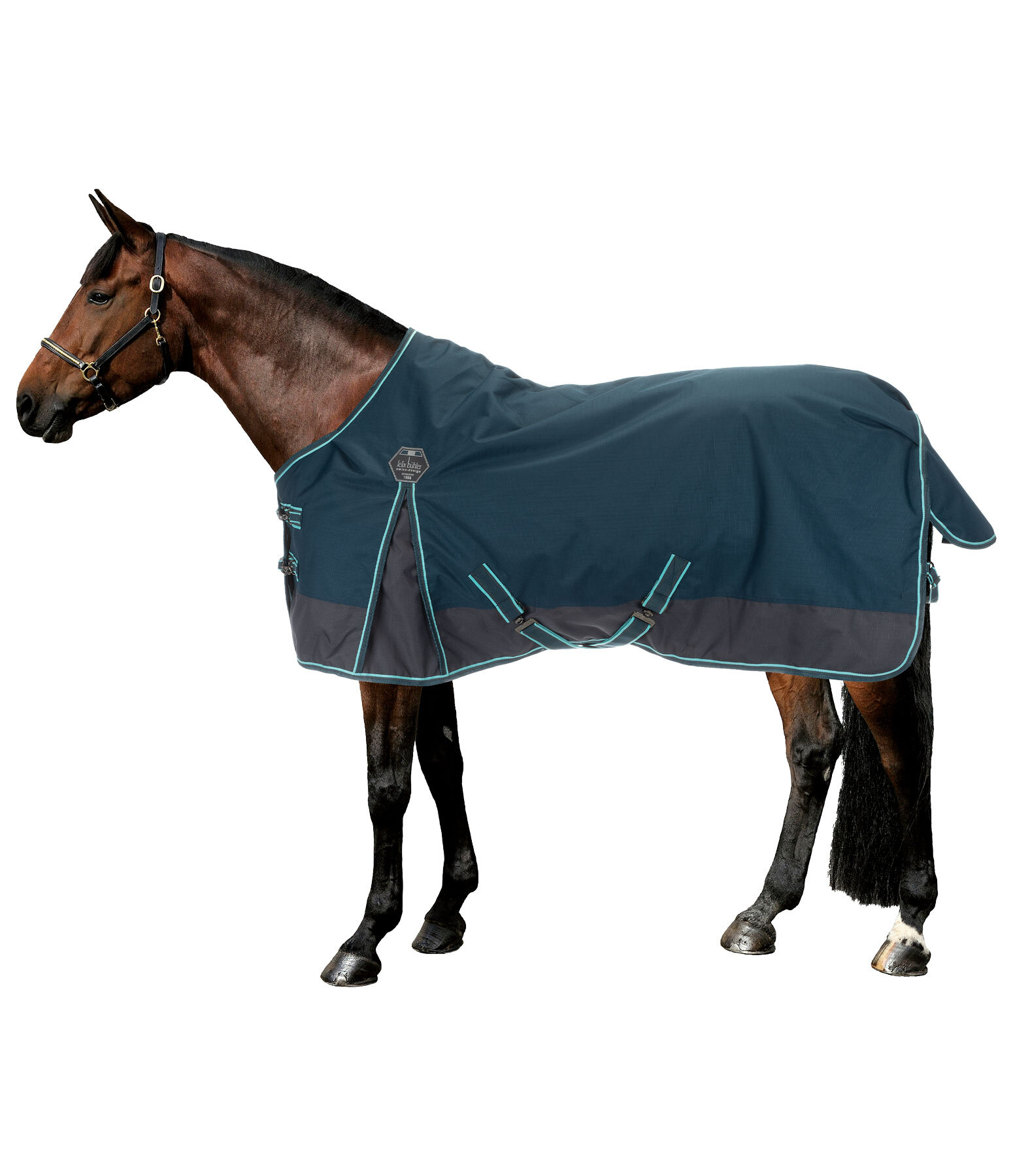 Turnout Rug Generously, 50g