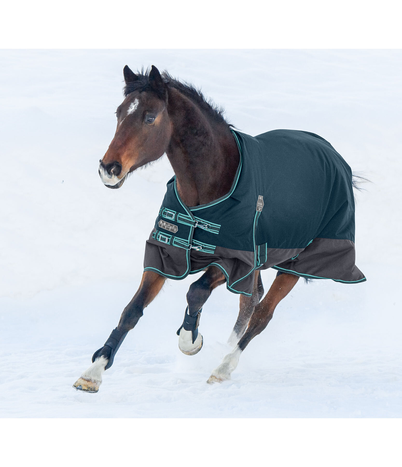 Turnout Rug Generously, 50g