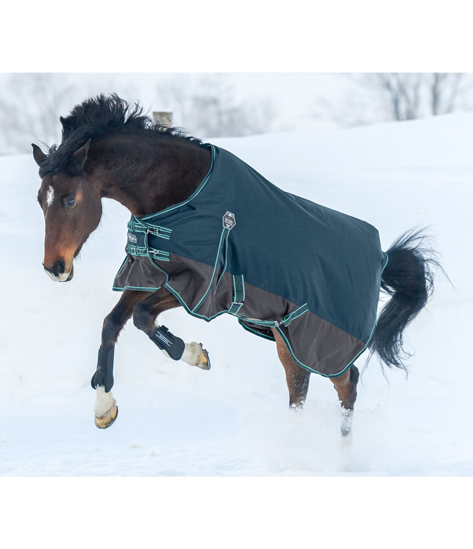 Turnout Rug Generously, 50g