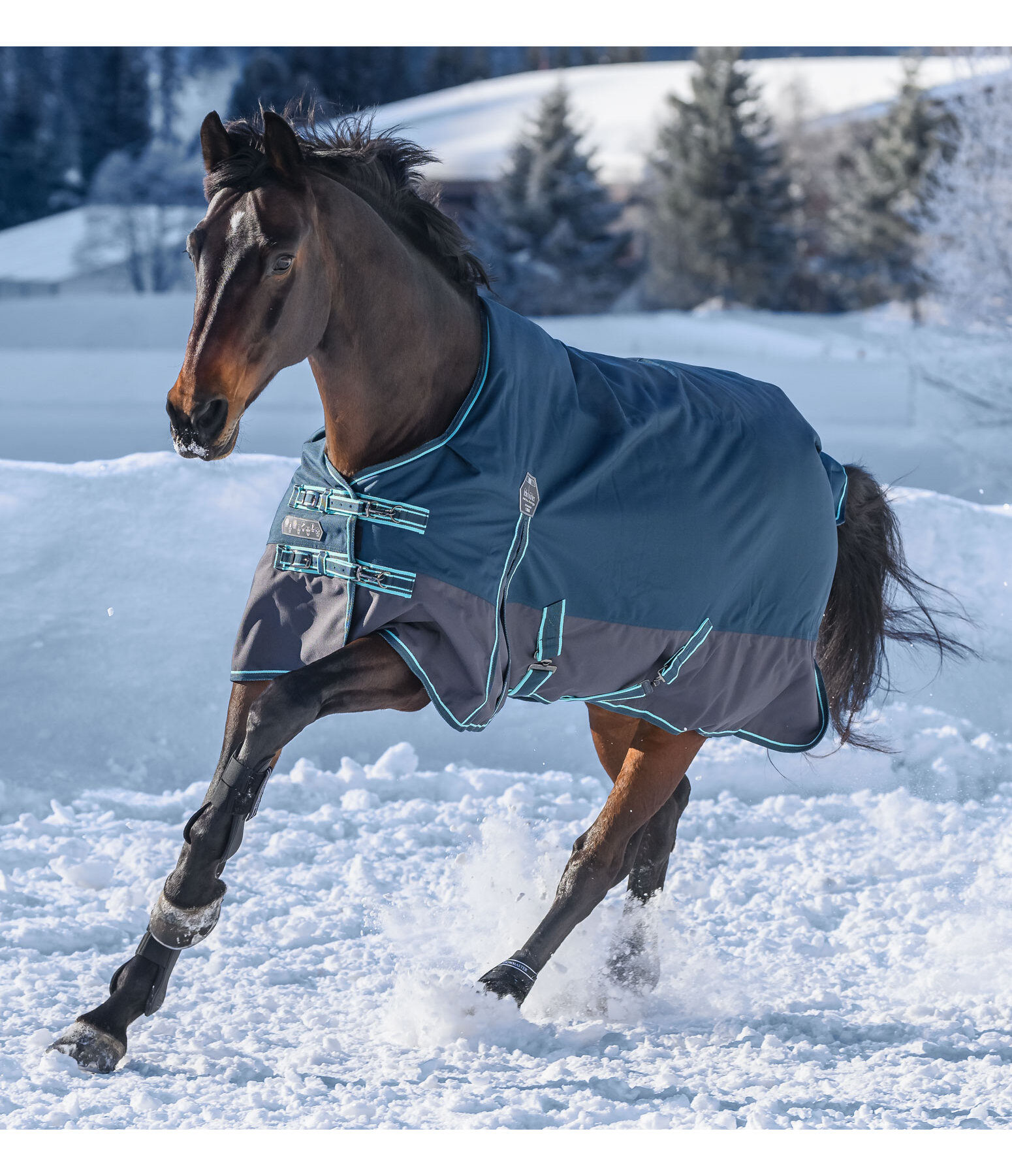 Turnout Rug Generously, 150g