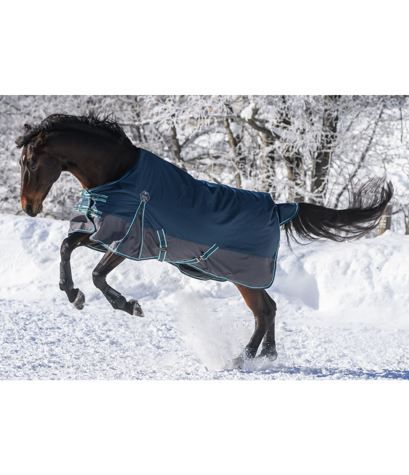 Turnout Rug Generously, 150g