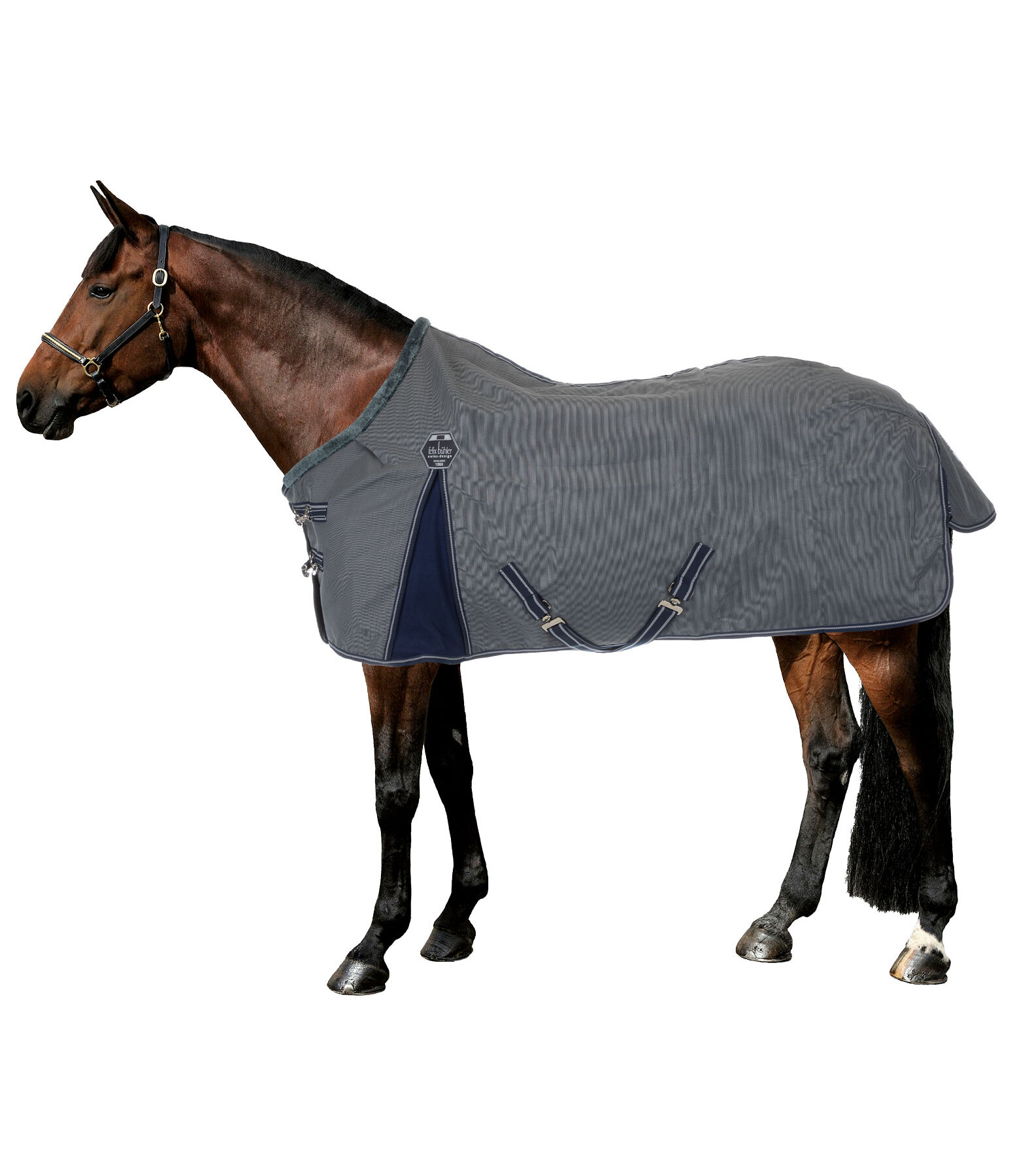 Stable and Wicking Rug Durable PVC Mesh & Fleece