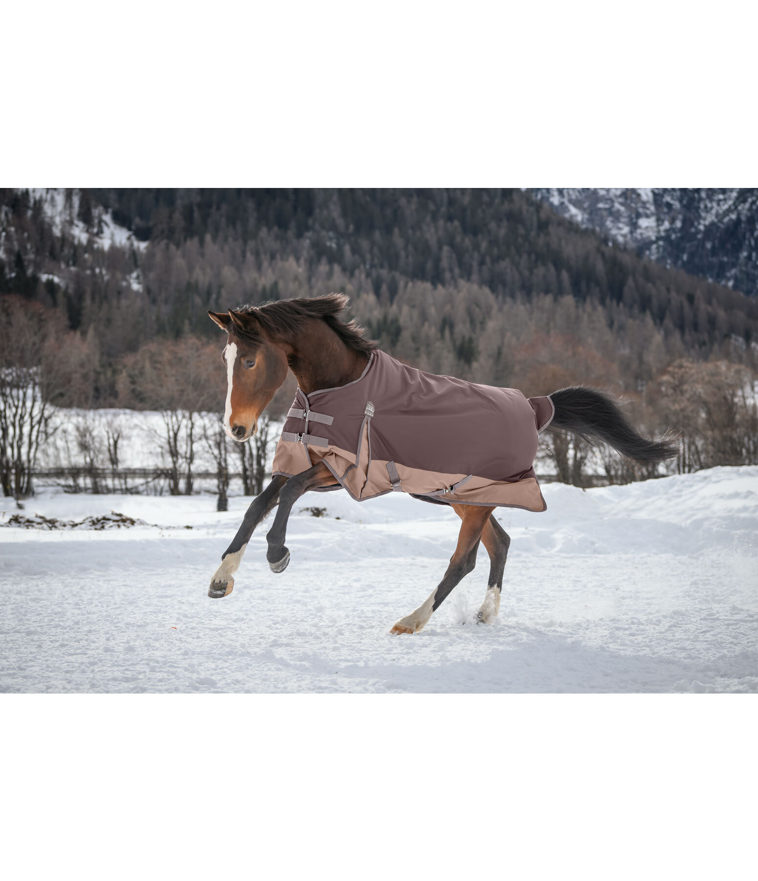 Regular Neck Outdoor Rug Aidan, 50g