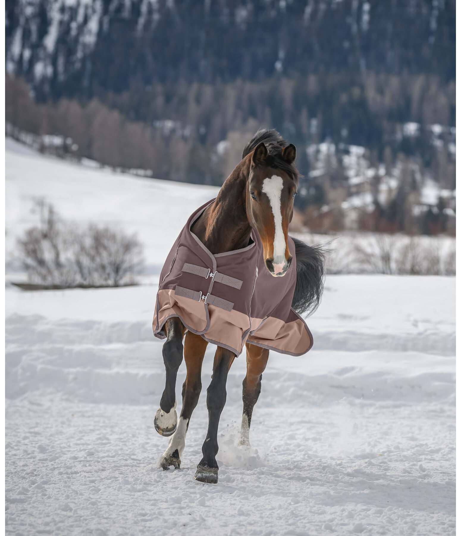 Regular Neck Turnout Rug Aidan, 50g