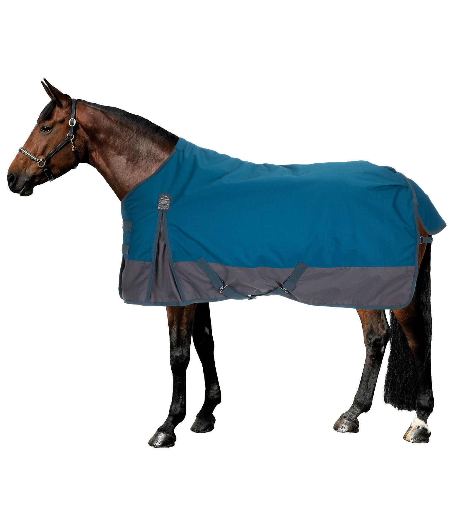Regular Neck Turnout Rug Aidan, 50g