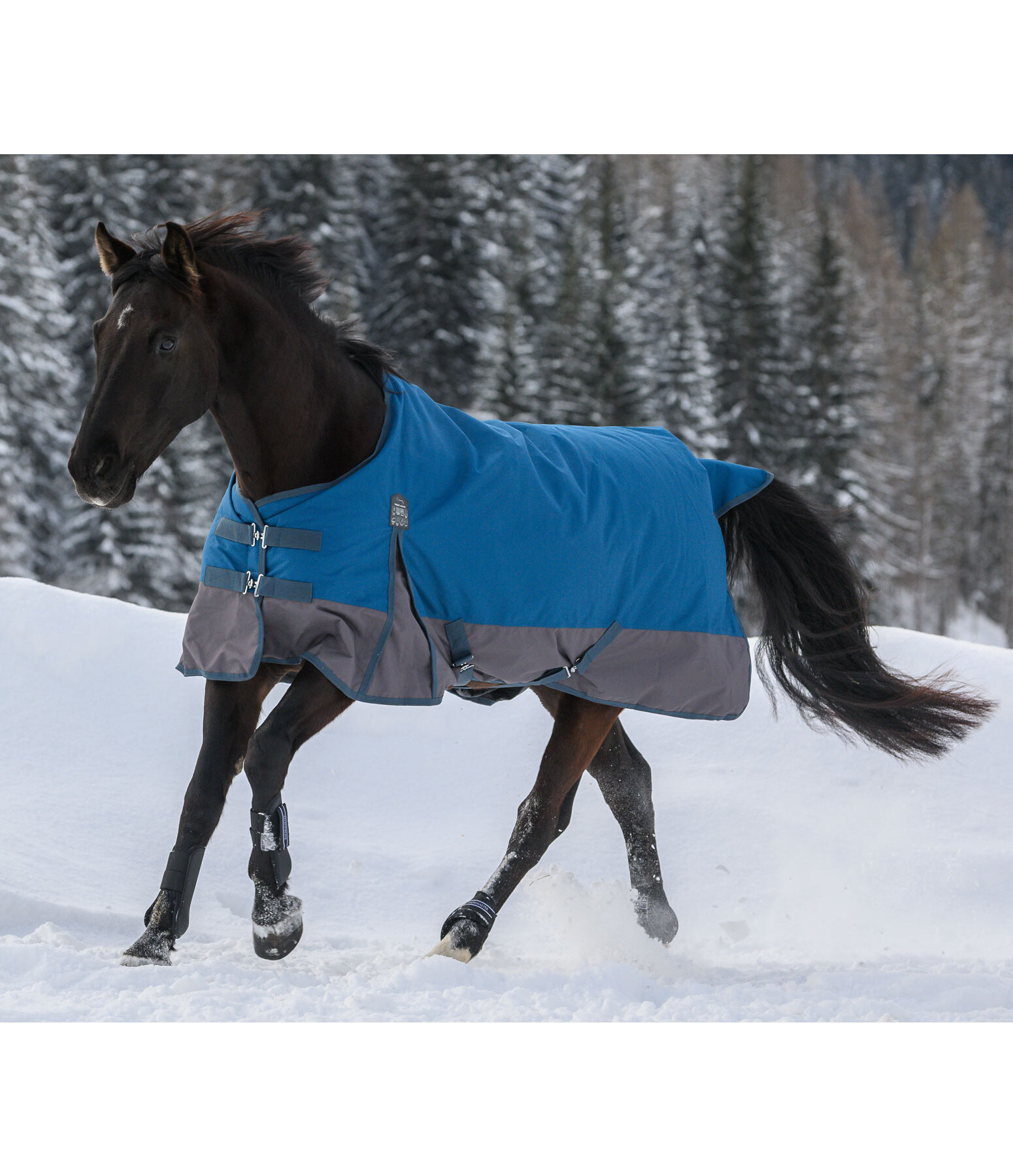 Regular Neck Turnout Rug Aidan, 50g