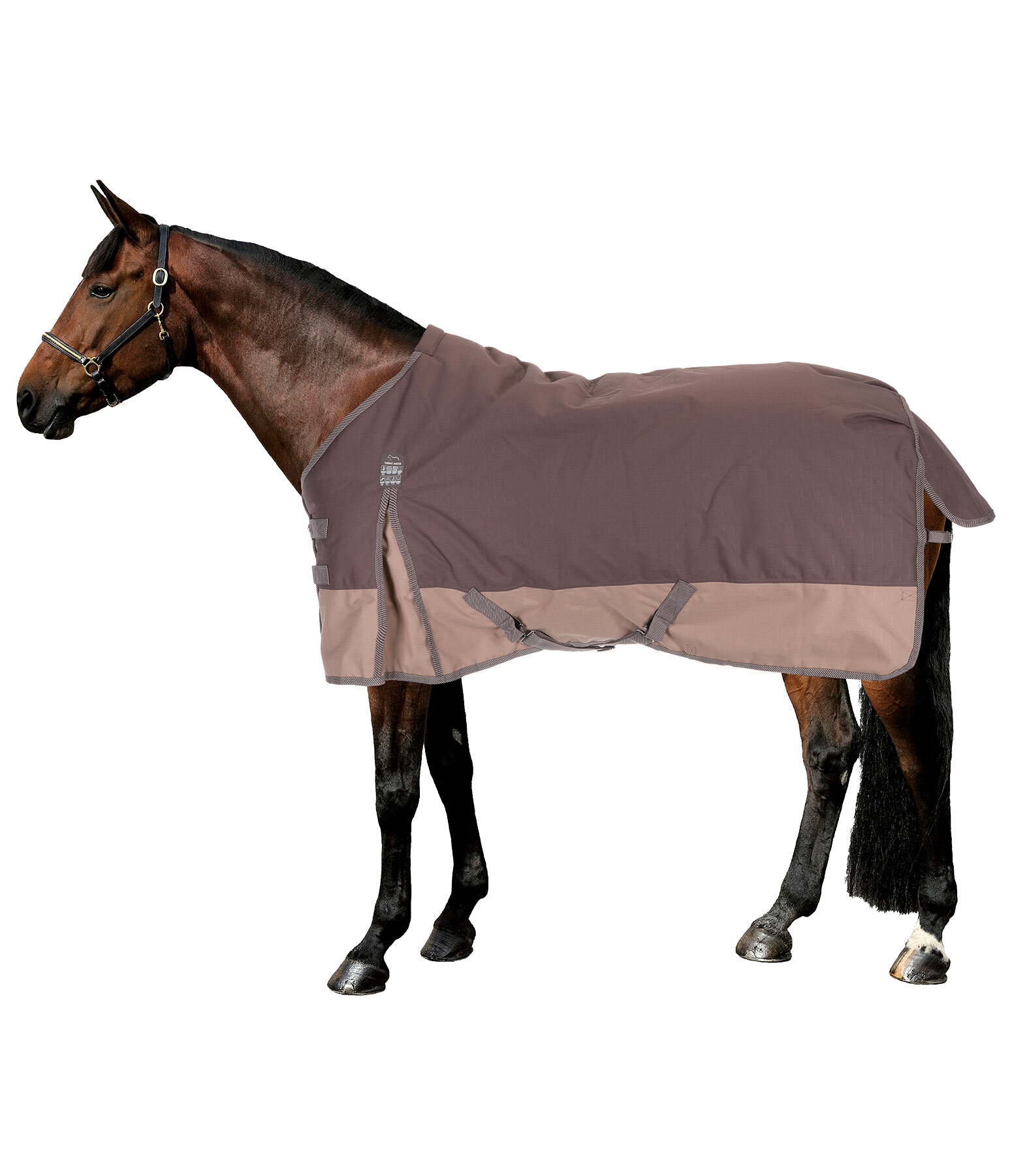 Regular Neck Winter Rug Aidan, 150g