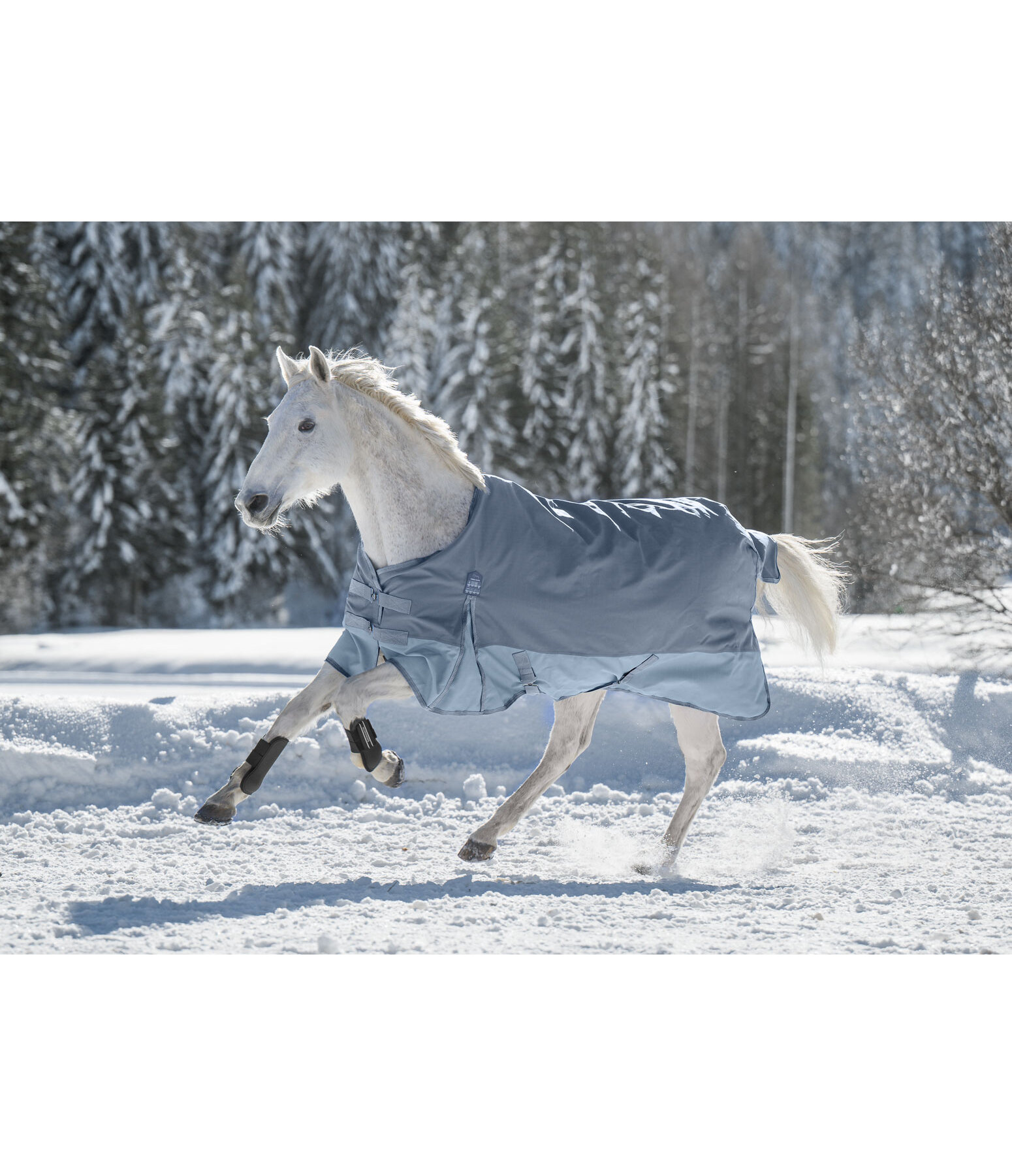 Regular Neck Turnout Rug Aidan, 150g
