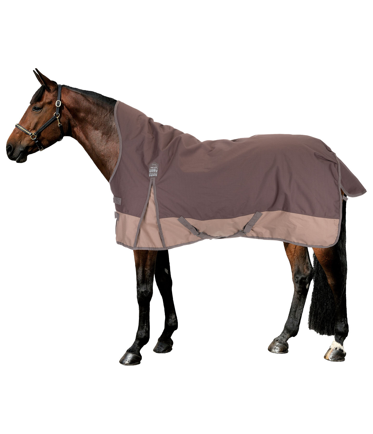 High Neck Turnout Rug Abegail, 50g