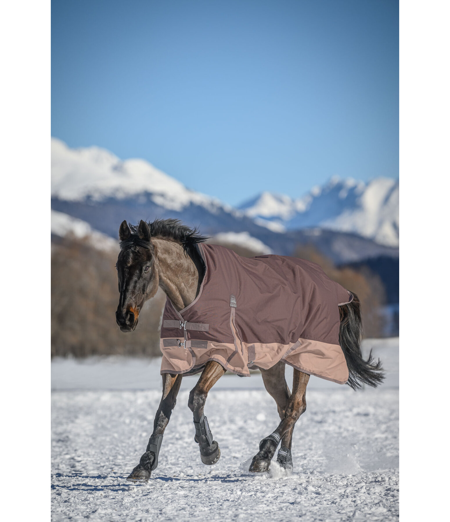 High Neck Turnout Rug Abegail, 50g