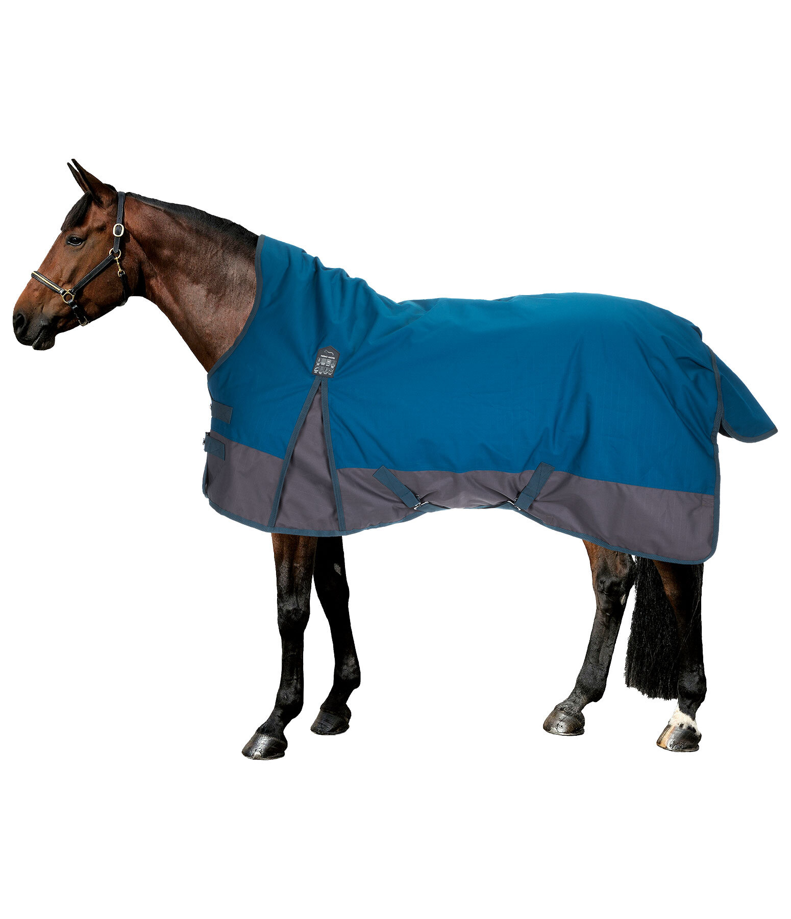 High Neck Turnout Rug Abegail, 50g